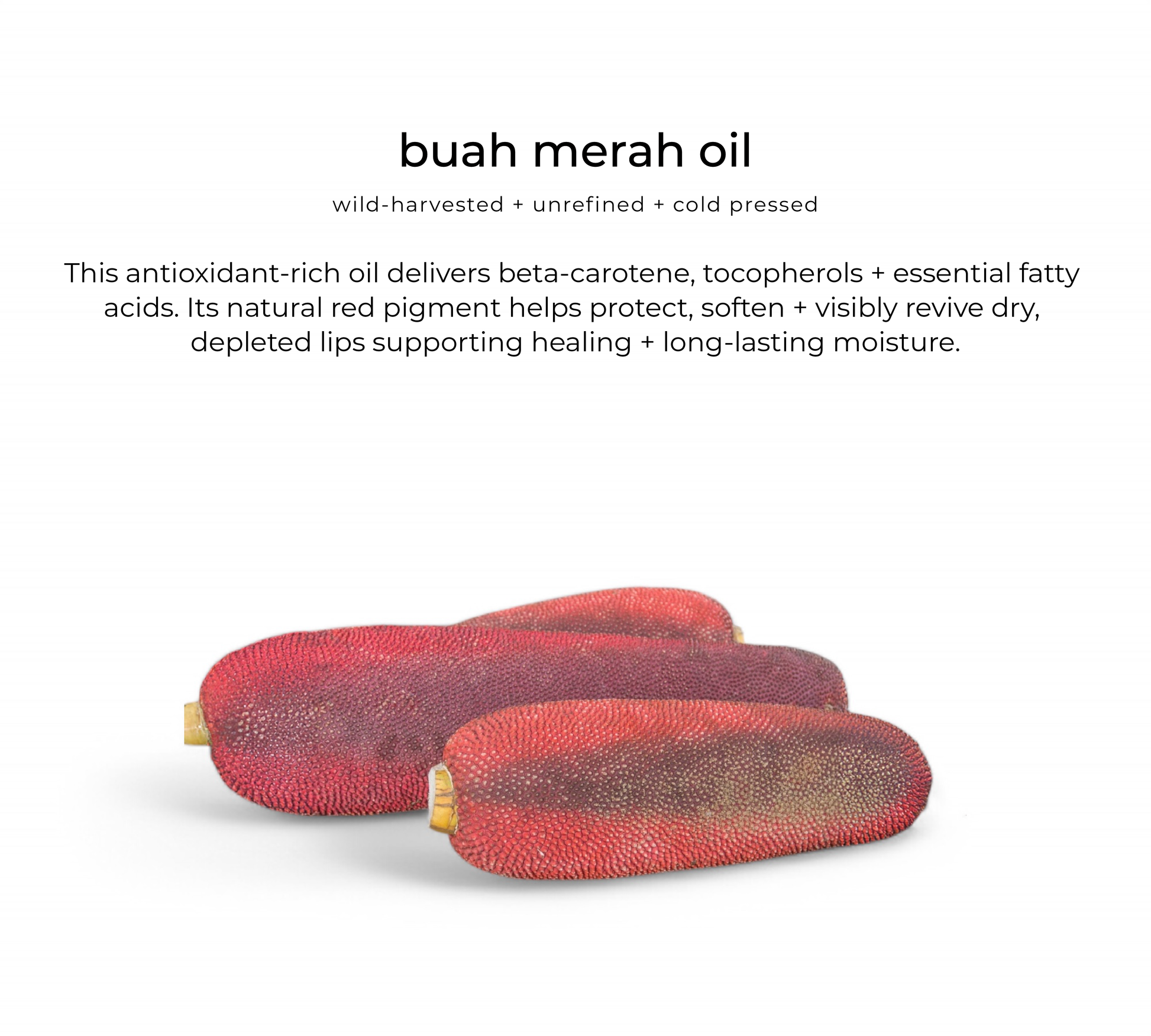 Buah merah (red palm fruit extract) — key ingredient in Glossberry lip oil