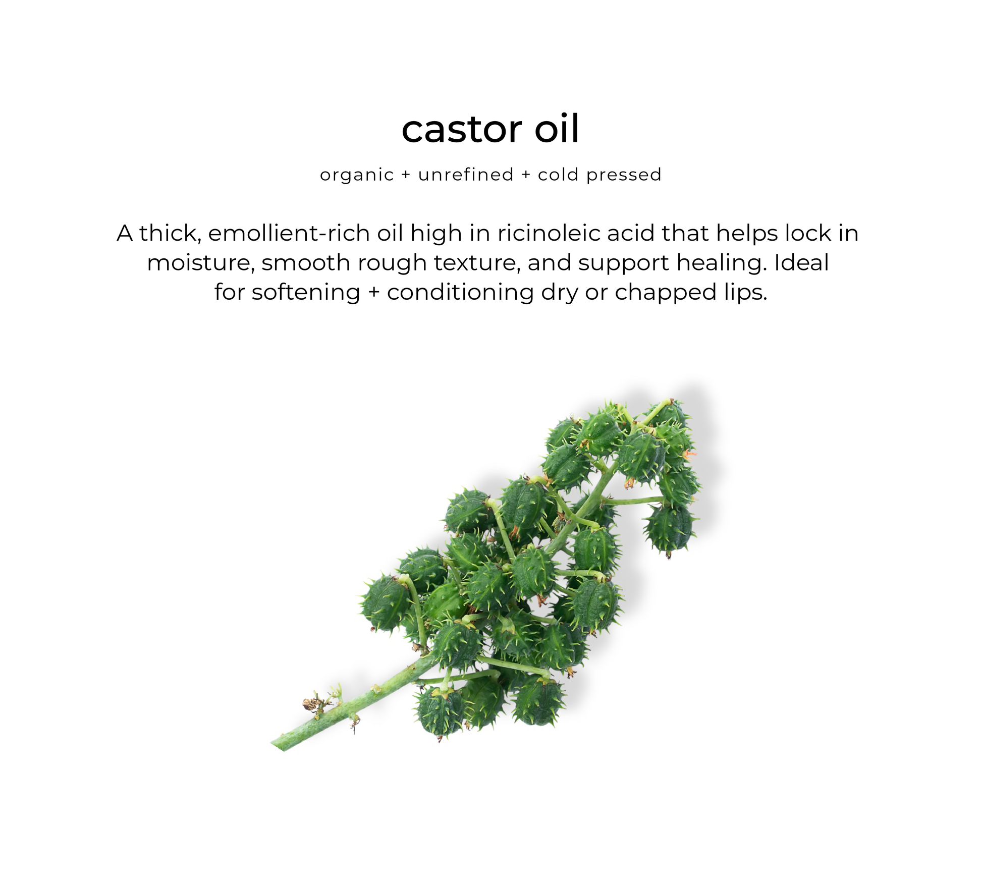 Castor oil — key ingredient in Glossberry lip oil