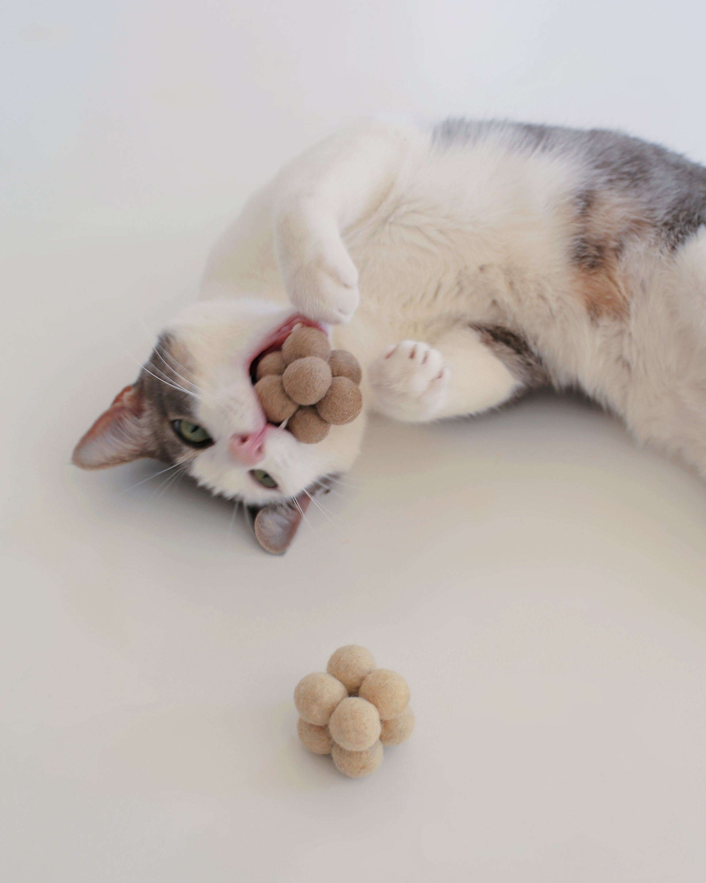 Pearl Toys