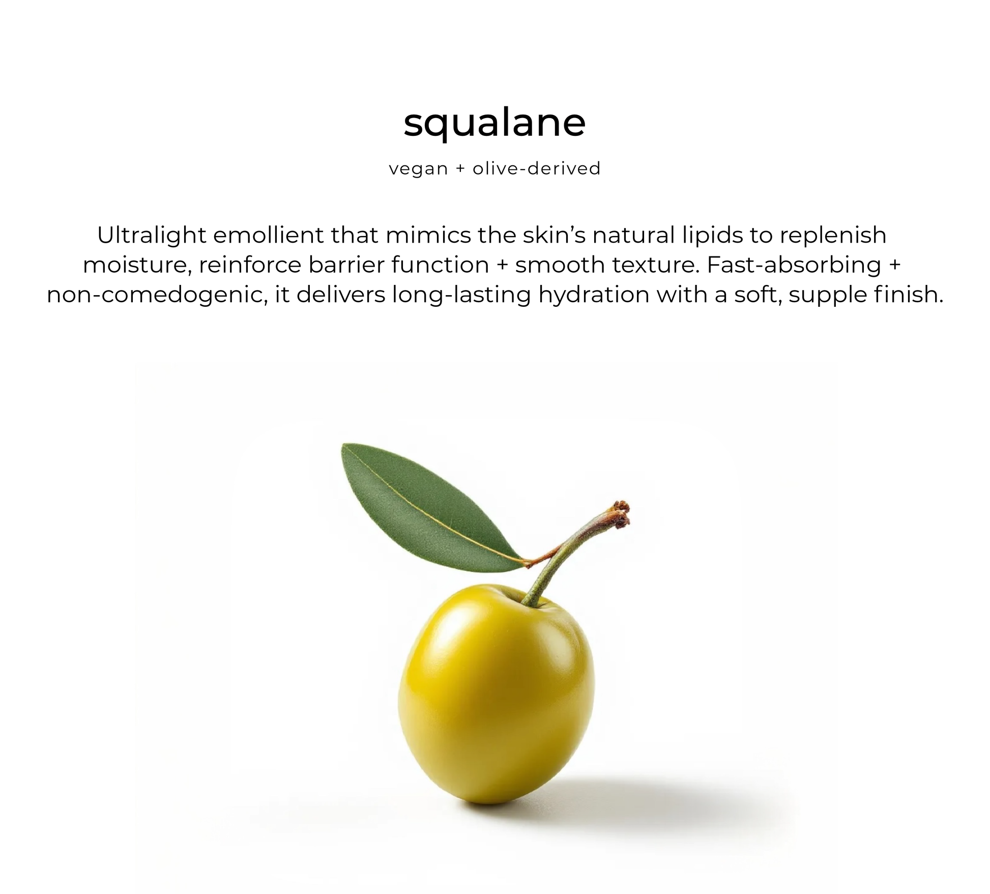 Olive squalane — key skincare ingredient