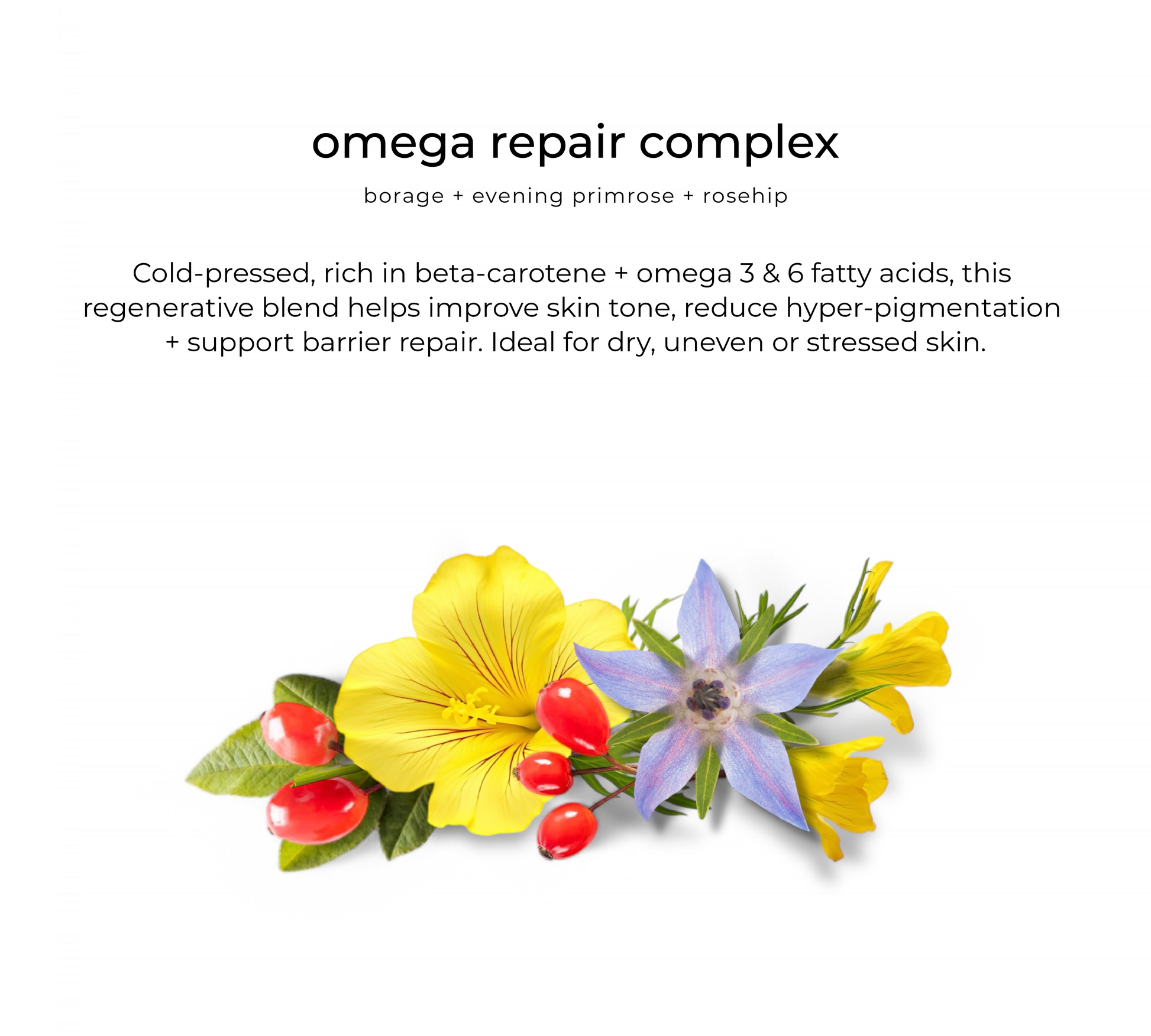 Omega repair complex — key ingredient in Youglow elixir