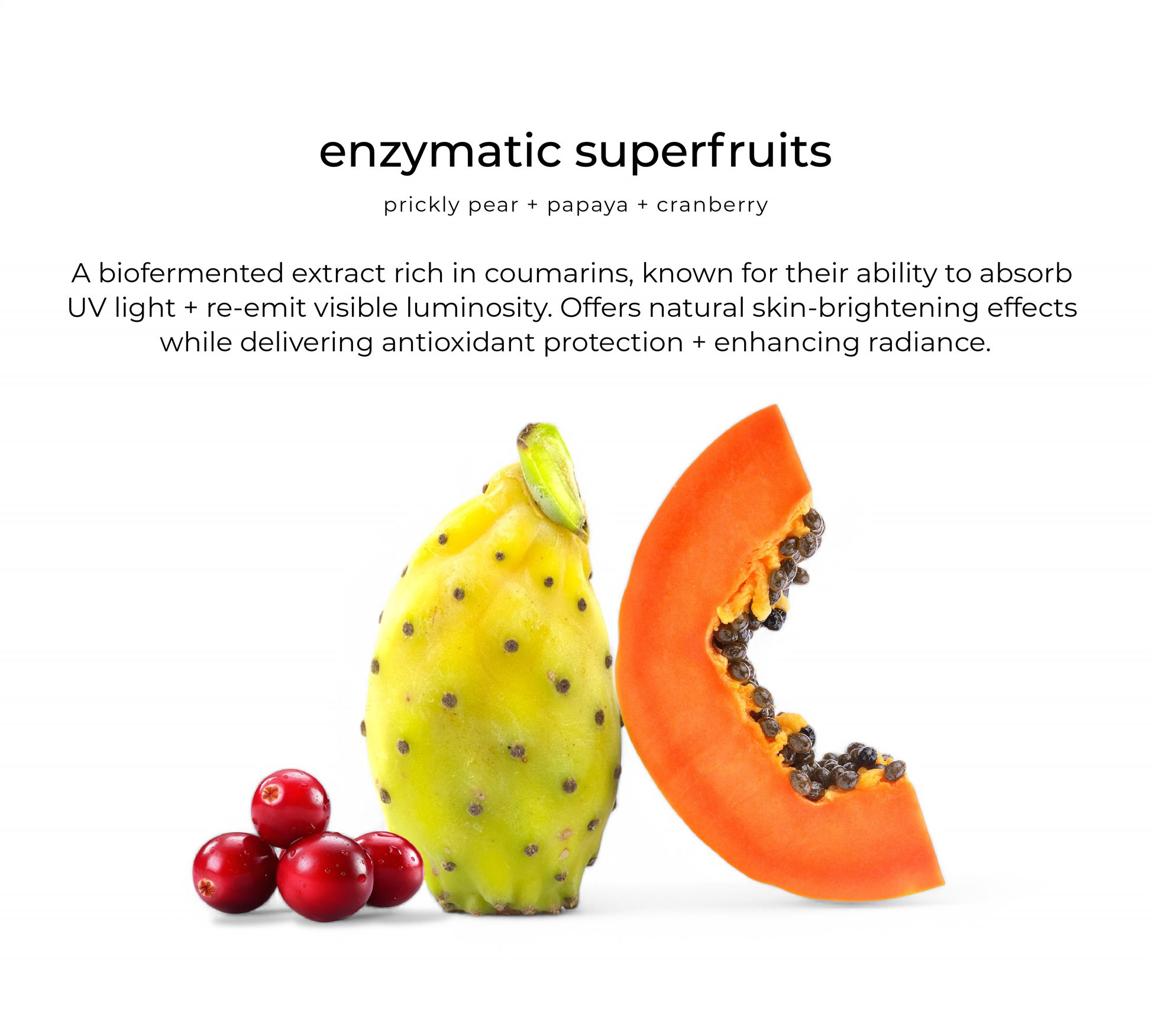 Superfruit enzyme complex — key ingredient in Shine tonic