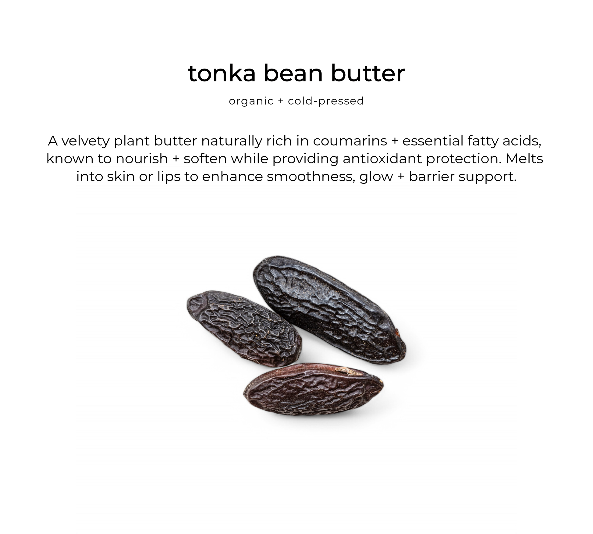 Tonka bean butter — key ingredient in Glossberry lip oil