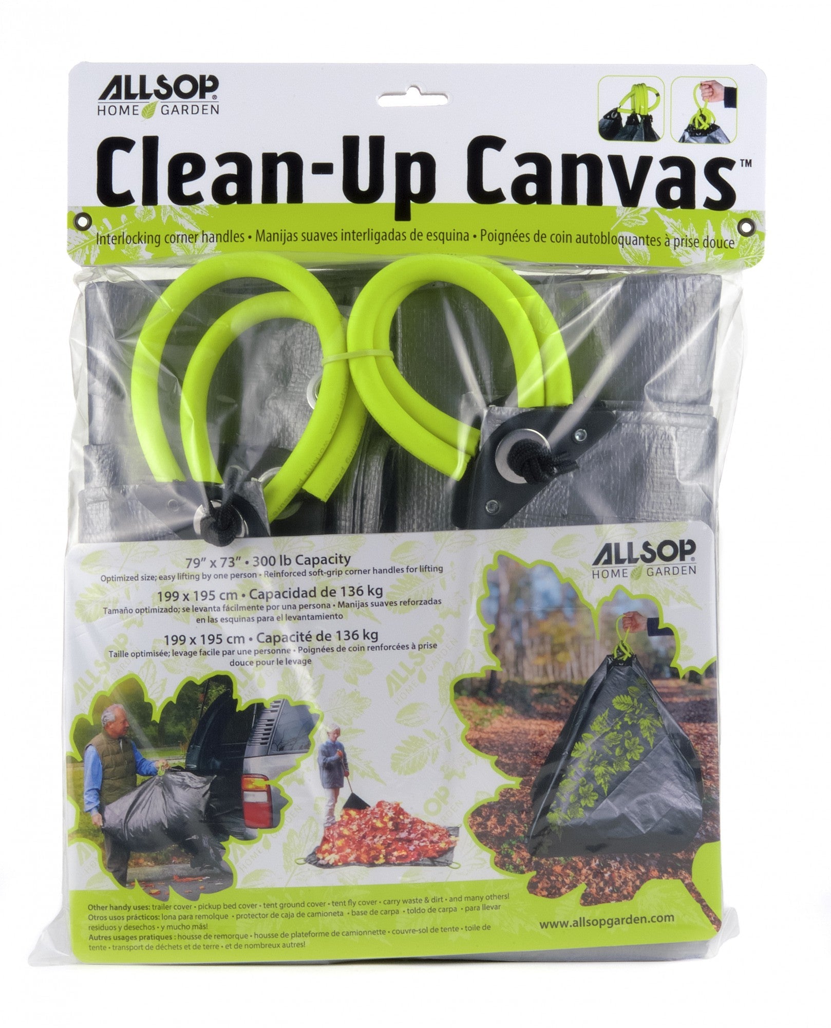 Clean Up Canvas handles