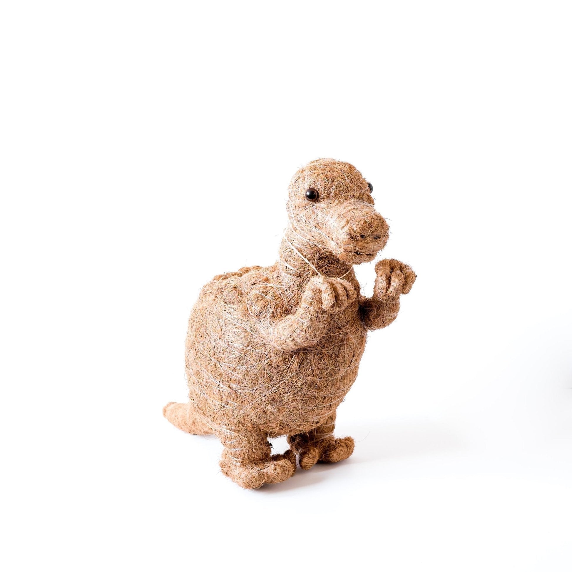 Planters - T-Rex Planter - Coco Coir Pots | LIKHÂ - LIKHÂ