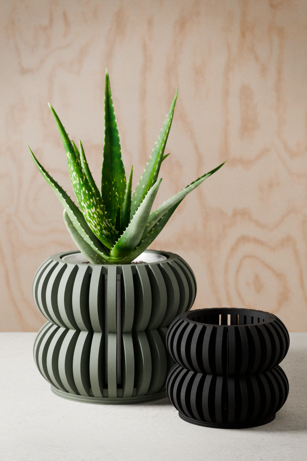 Orchid Planter DOUBLE BUBBLES