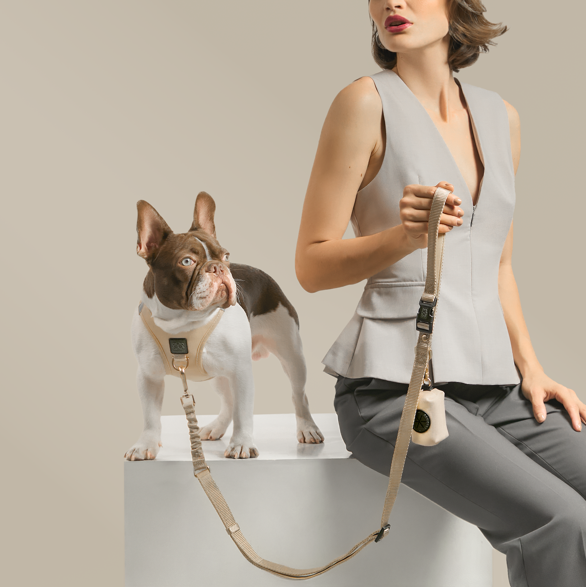 designer dog leashes and collars, designer dog collar and leash, pet accessories designer, fancy harness for dogs, luxury dog harness, fancy dog stuff, pet accessories designer, stylish dog leash