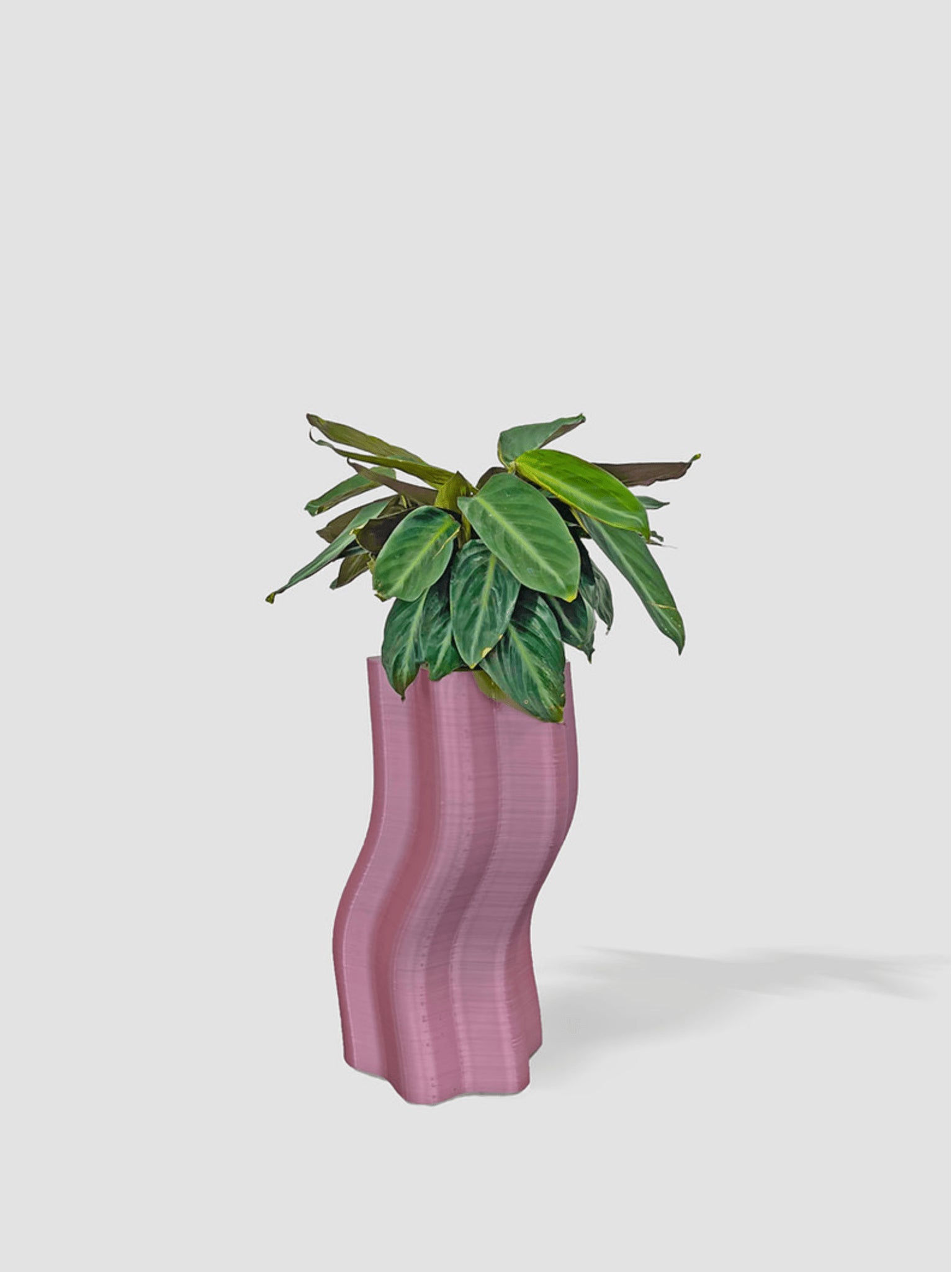 Frosting Large Planters - Form&Seek