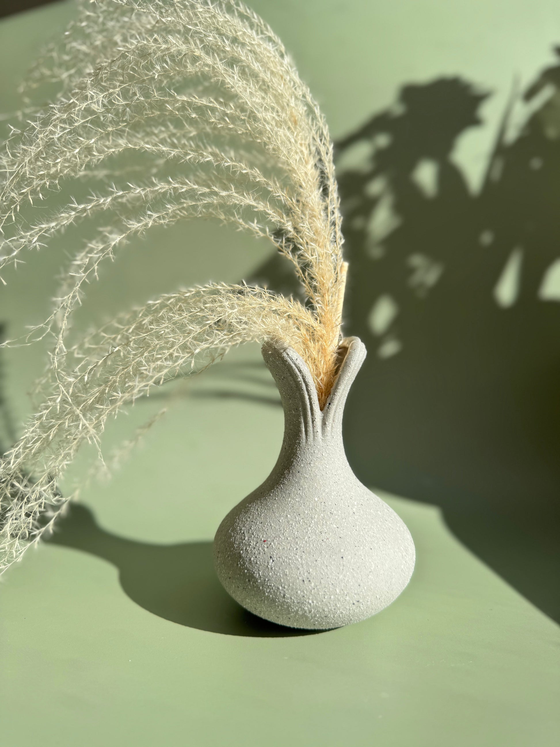 White textured vase with dried plant on a green background