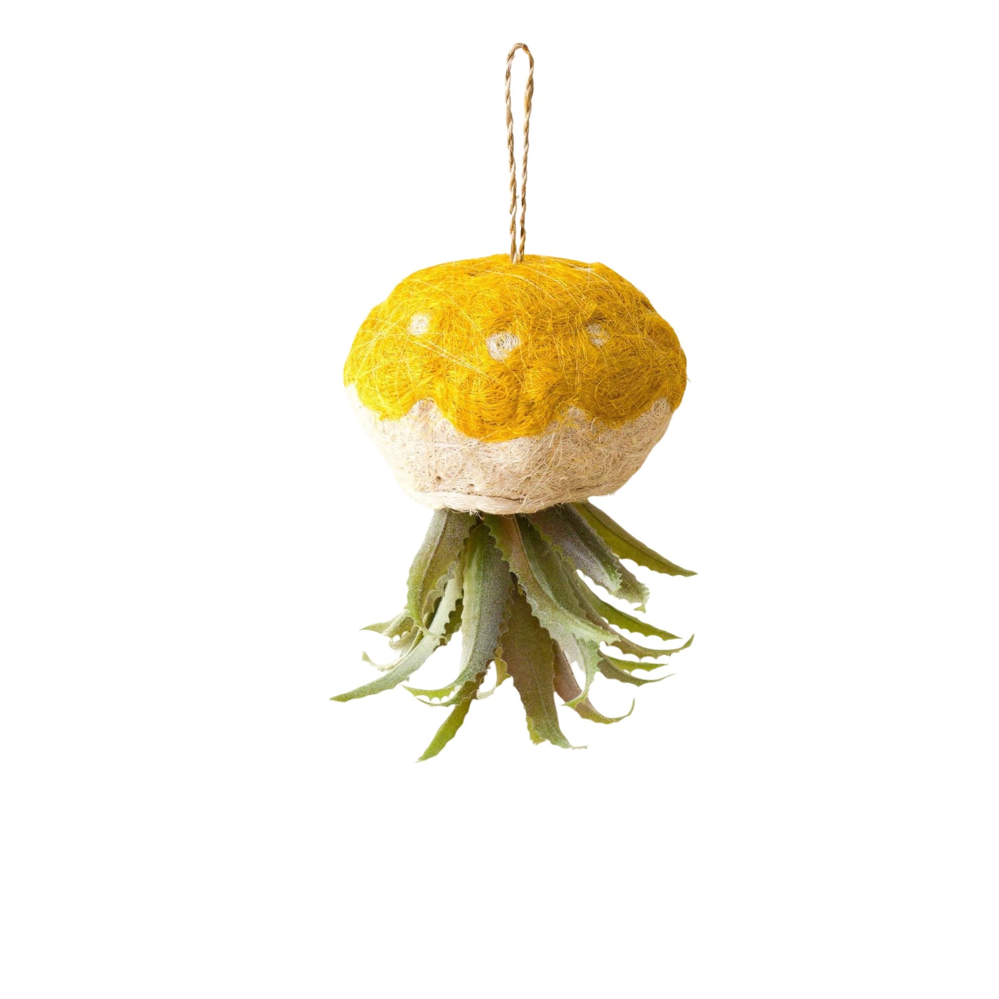 Planters - Jellyfish Air Planter - Handmade Planters | LIKHÂ - LIKHÂ