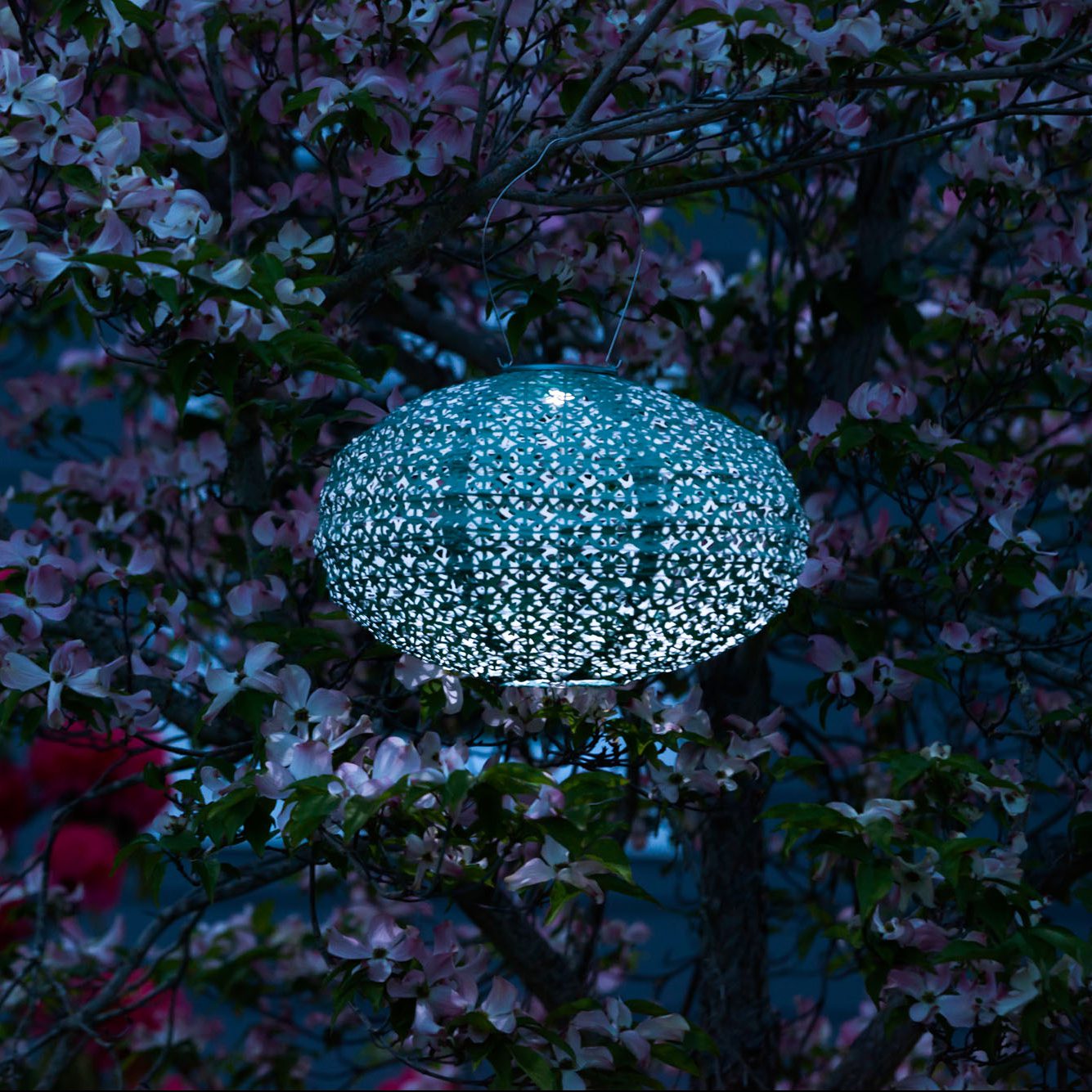 Soji Stella Oval Tyvek Solar Lantern glowing at night
