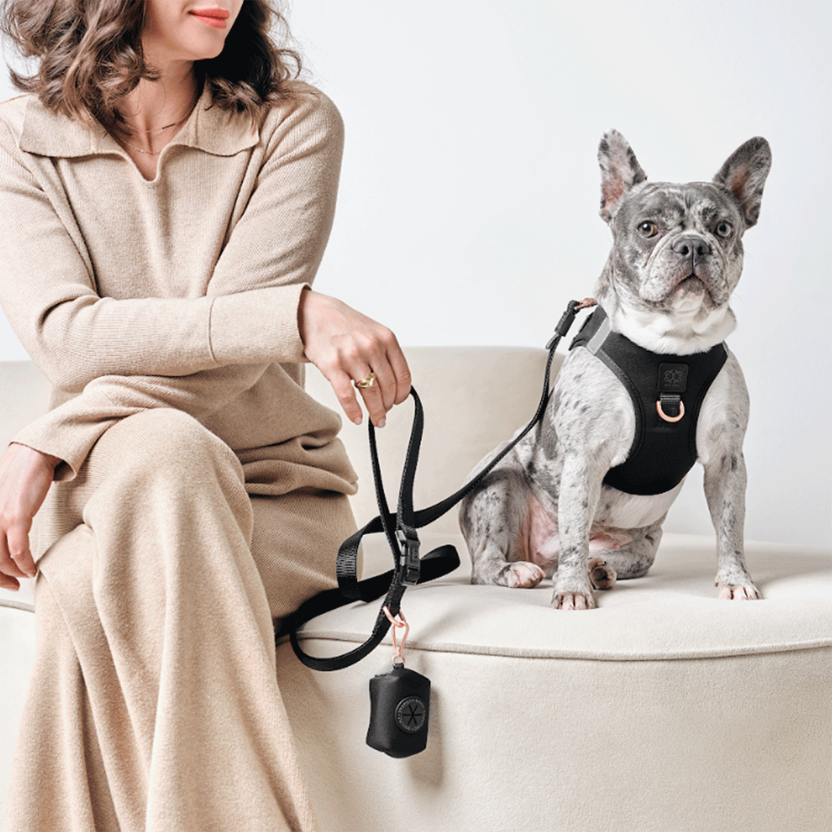 designer dog leashes and collars, designer dog collar and leash, pet accessories designer, fancy harness for dogs, luxury dog harness, fancy dog stuff, pet accessories designer, stylish dog leash