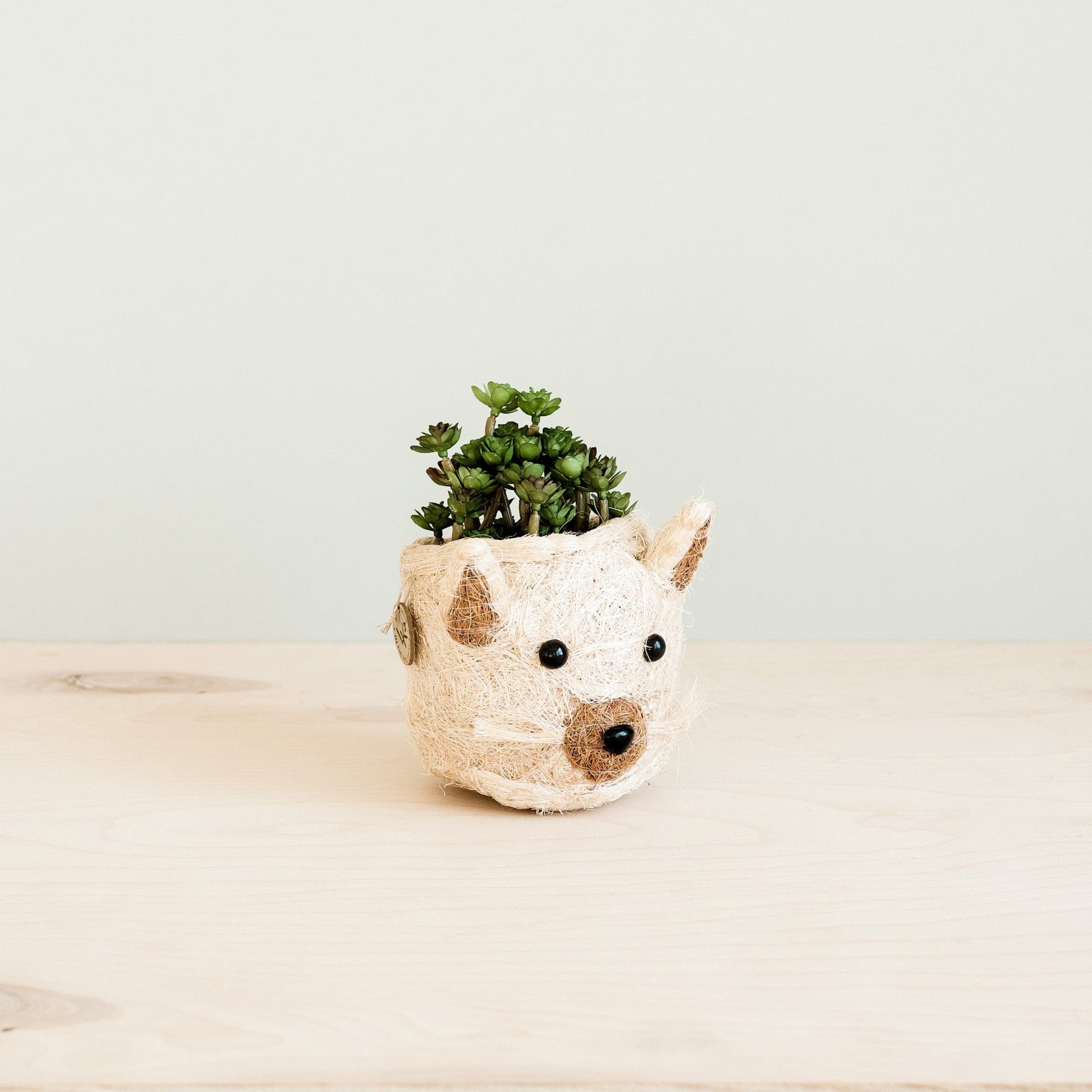 Planters - Cat Succulent Planter - Animal Head Planters | LIKHÂ - LIKHÂ