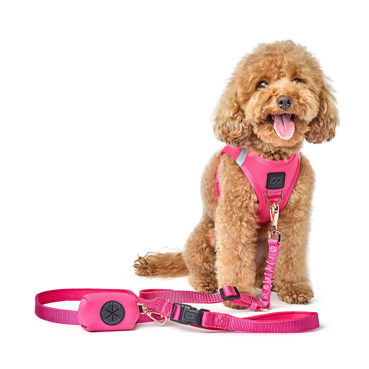 designer dog leashes and collars, designer dog collar and leash, pet accessories designer, fancy harness for dogs, luxury dog harness, fancy dog stuff, pet accessories designer, stylish dog leash