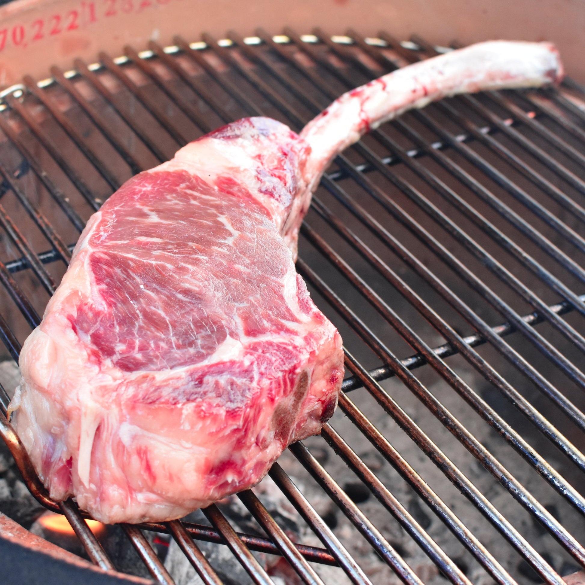 The Patio Daddy-O USDA Prime Tomahawk Chop-Steak-The Patio Daddy-O-Prince of Scots