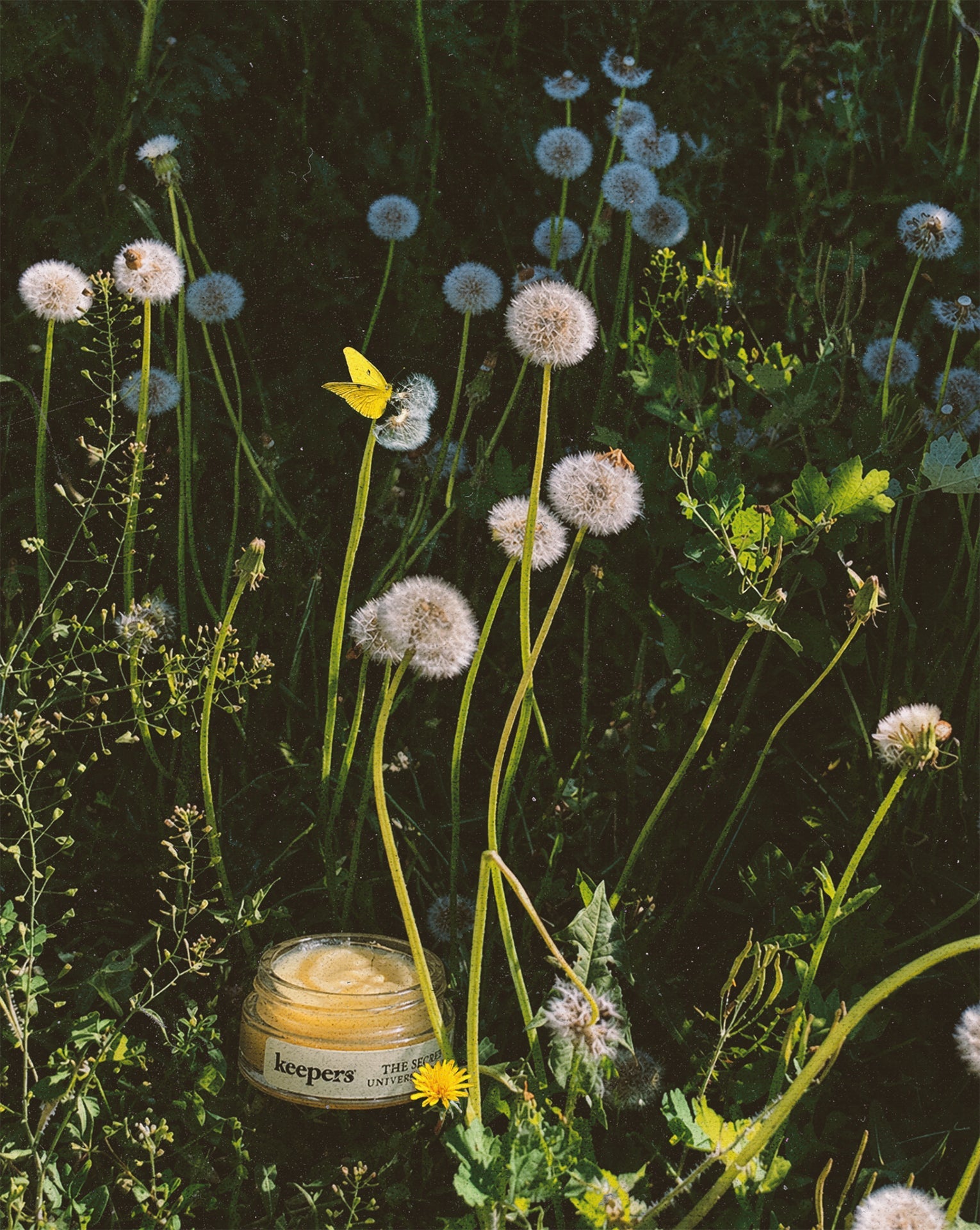 The Secret universal salve tin with flowers