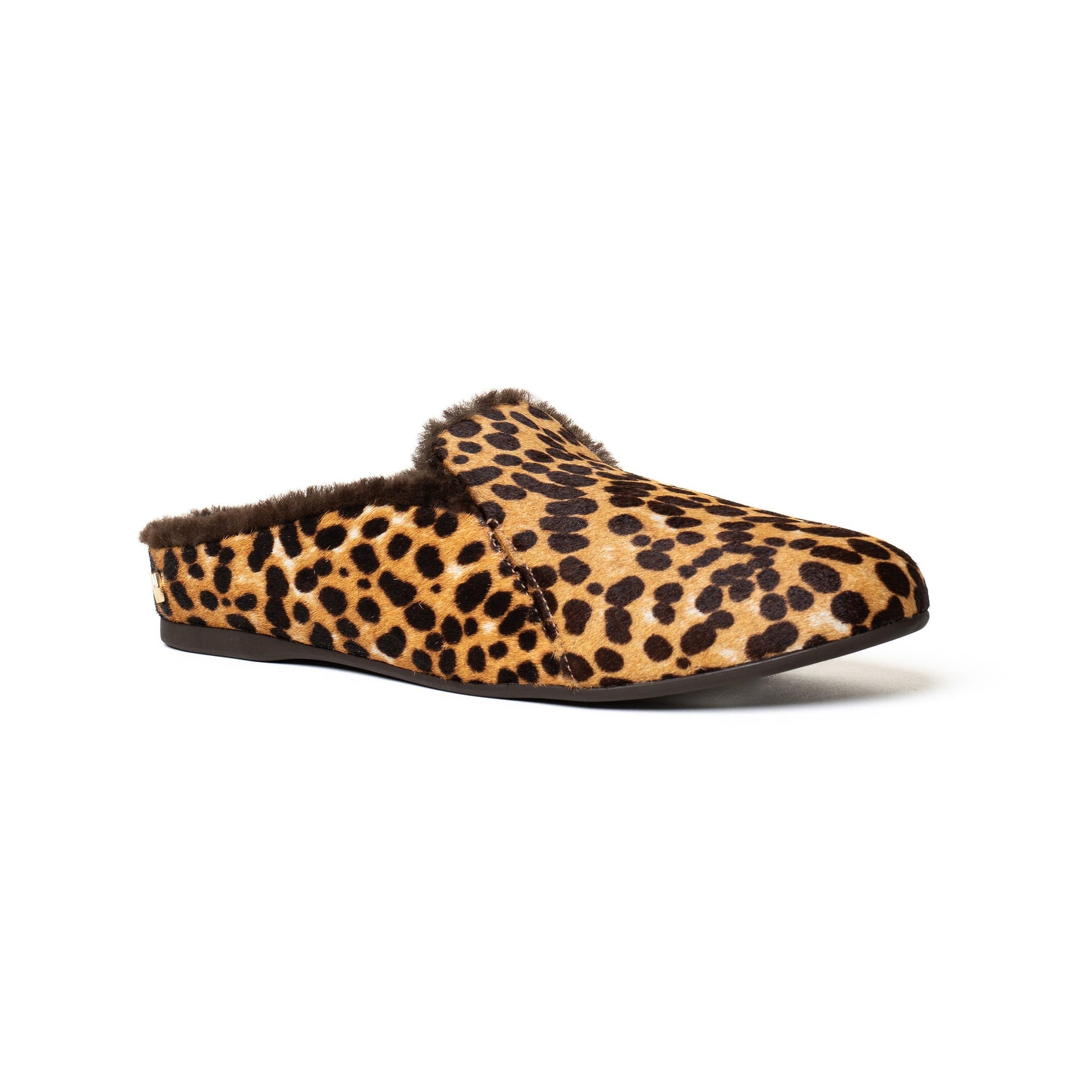 #color_leopard-pony