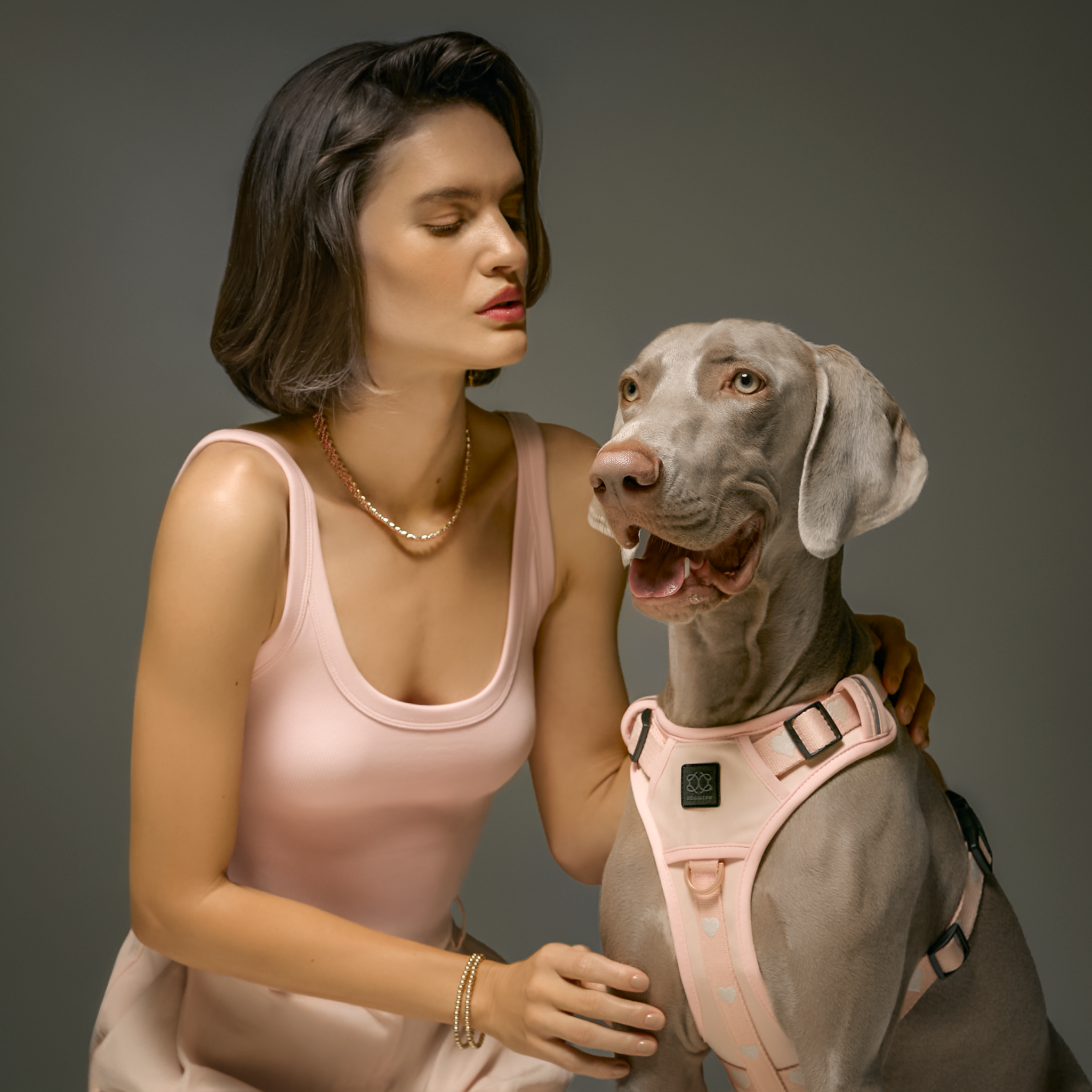 designer dog leashes and collars, designer dog collar and leash, pet accessories designer, fancy harness for dogs, luxury dog harness, fancy dog stuff, pet accessories designer, stylish dog leash