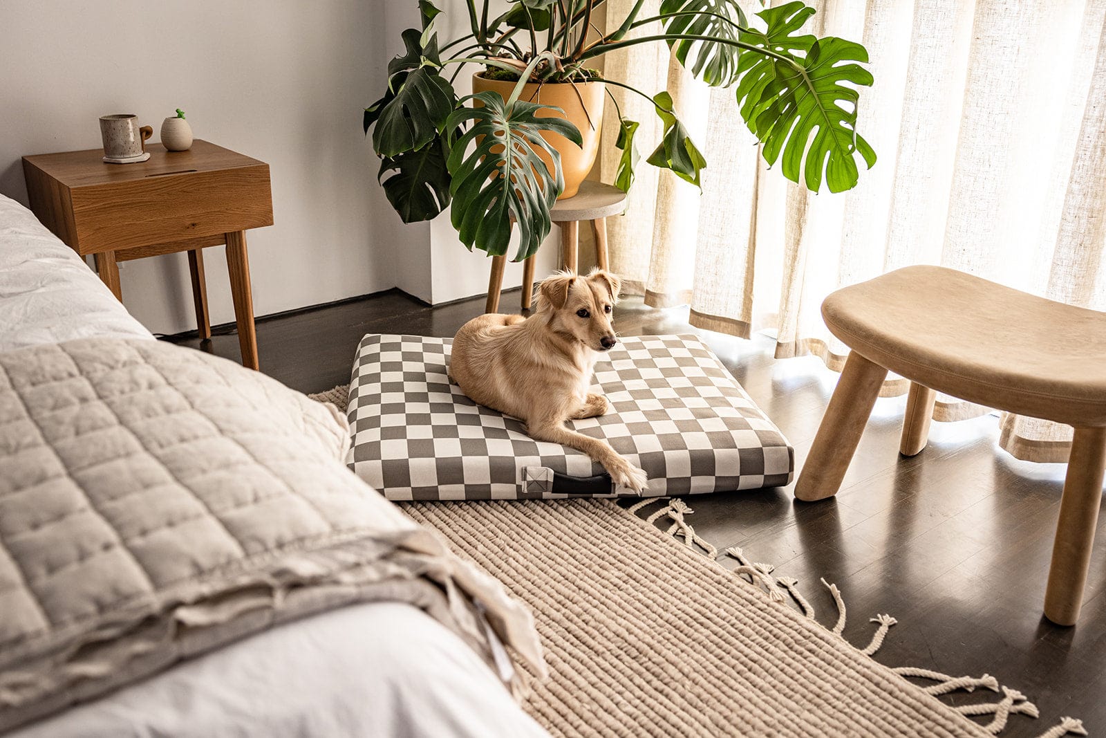 Laylo Pets LAY LO Pets - Gray Checker Dog Bed or Bed Cover Lay Lo Pets