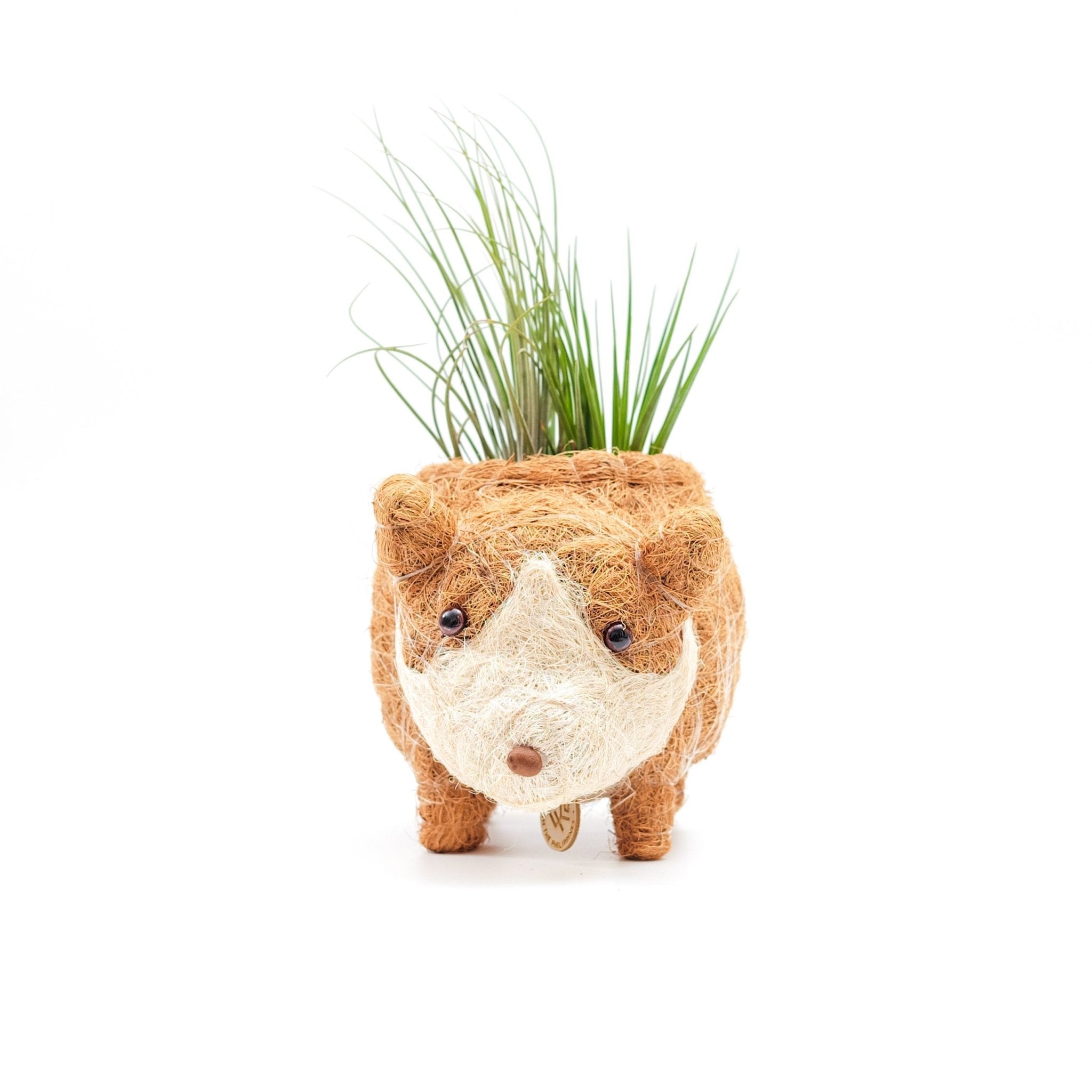 Planters - Baby Corgi Succulent Pot - Handmade Planters | LIKHÂ - LIKHÂ