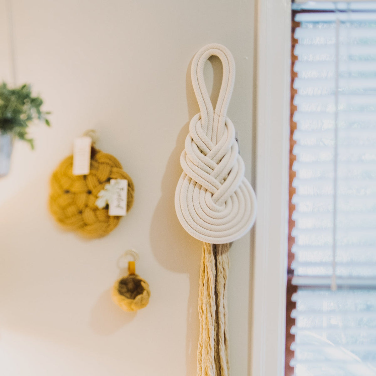 Pippa large white rope knot wall hanging on a wall near a window