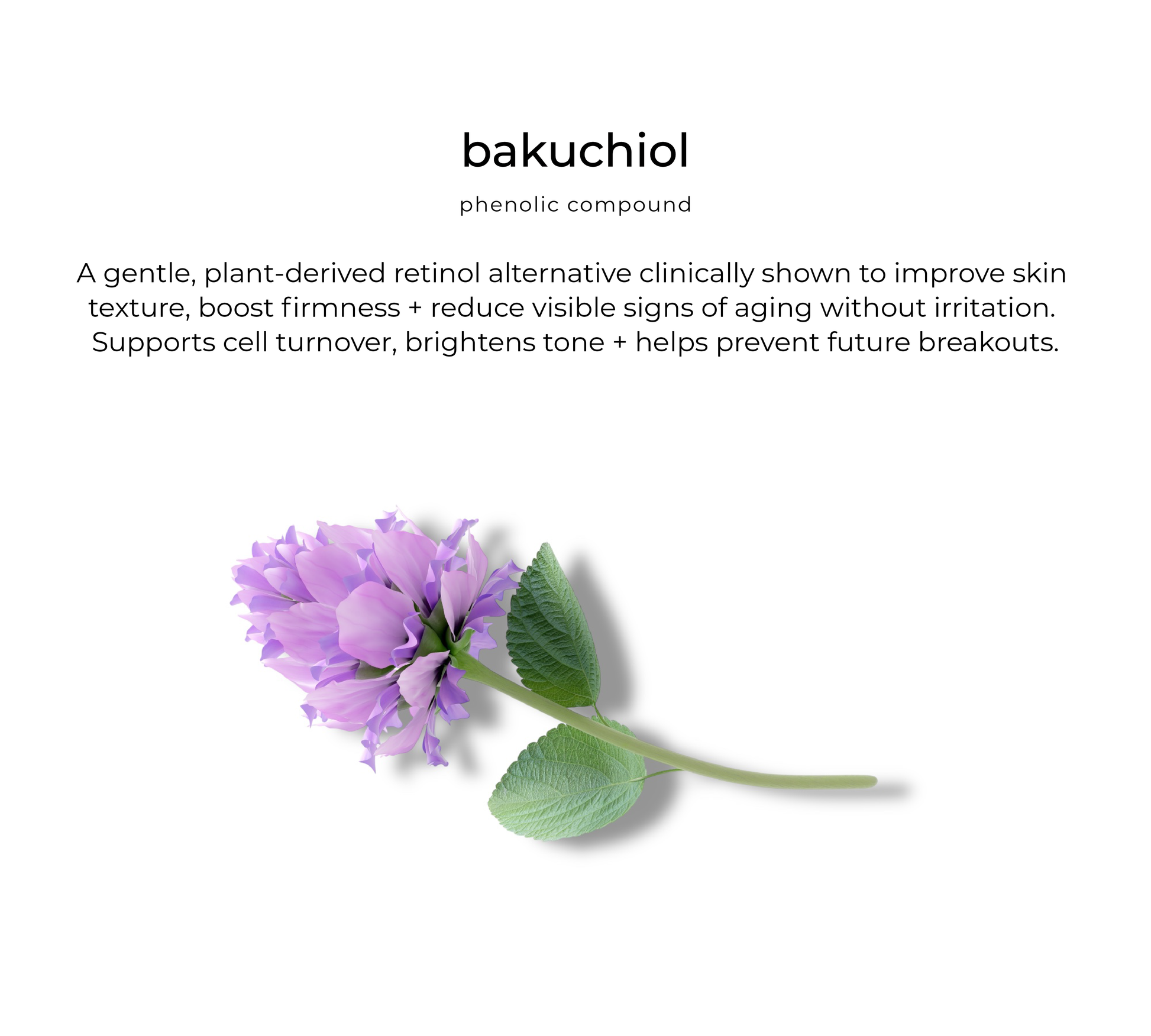 Bakuchiol (natural retinol alternative) — key ingredient in Bloom facial oil