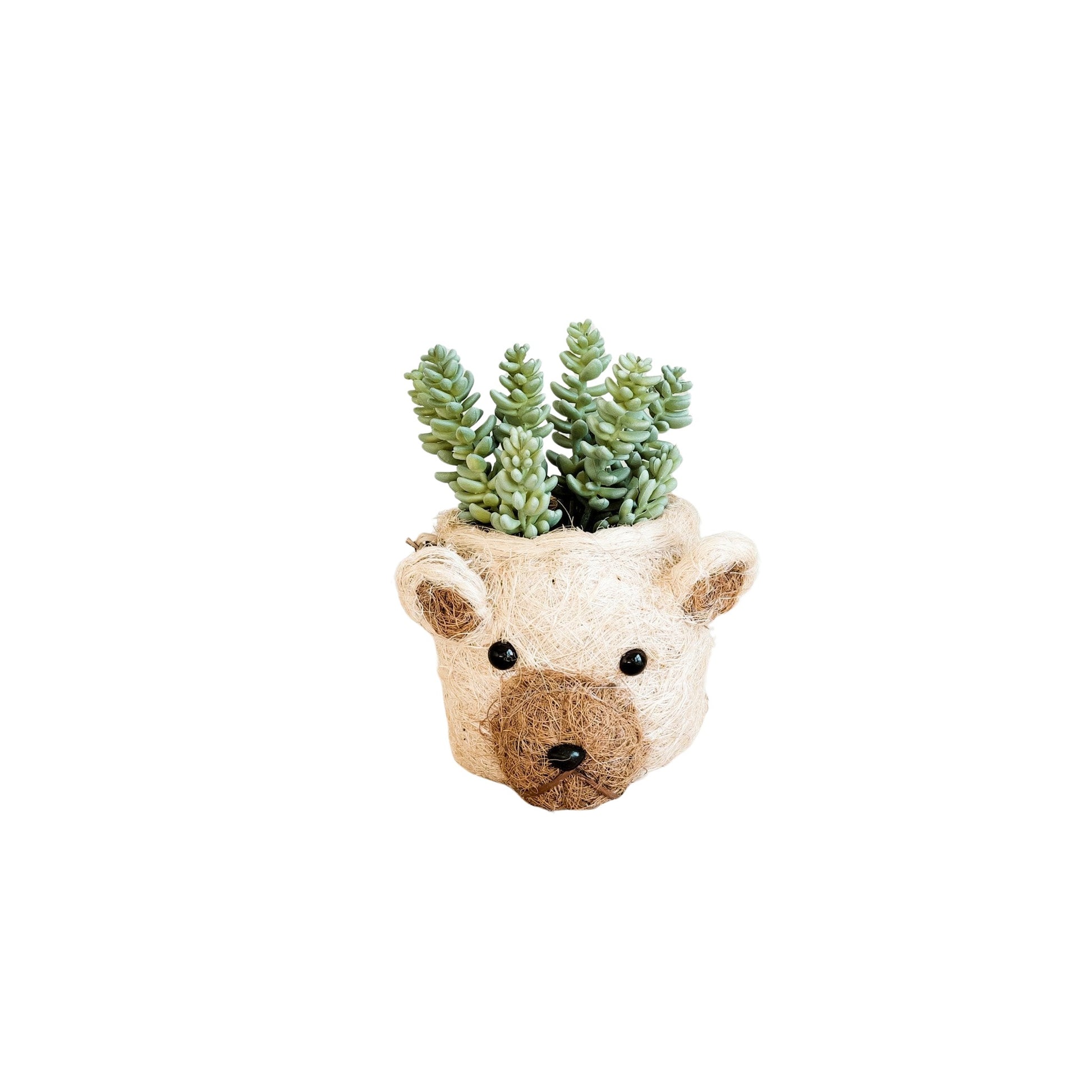 Planters - Bear Planter - Animal Head Planters | LIKHÂ - LIKHÂ