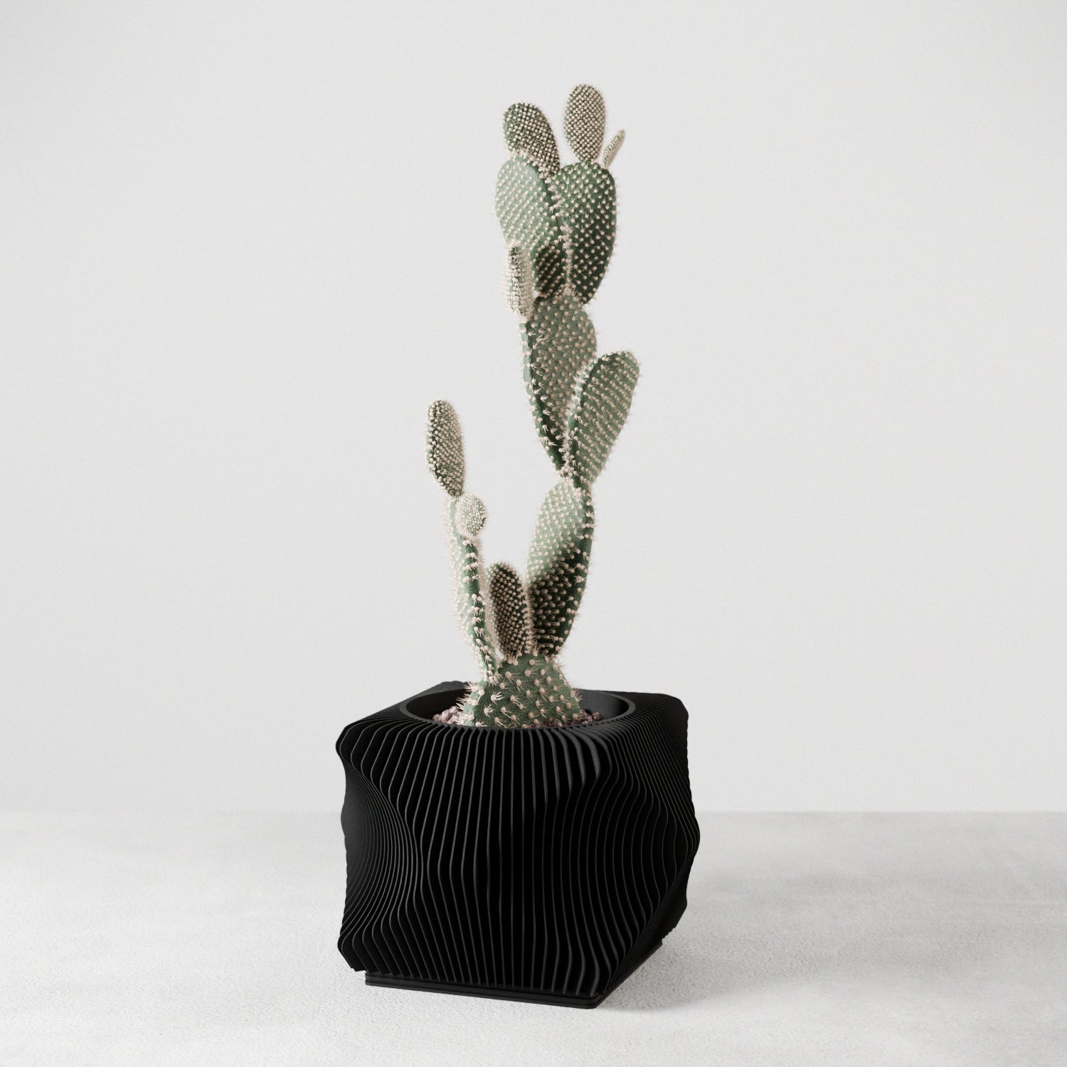 Xenova Planter - Image 1