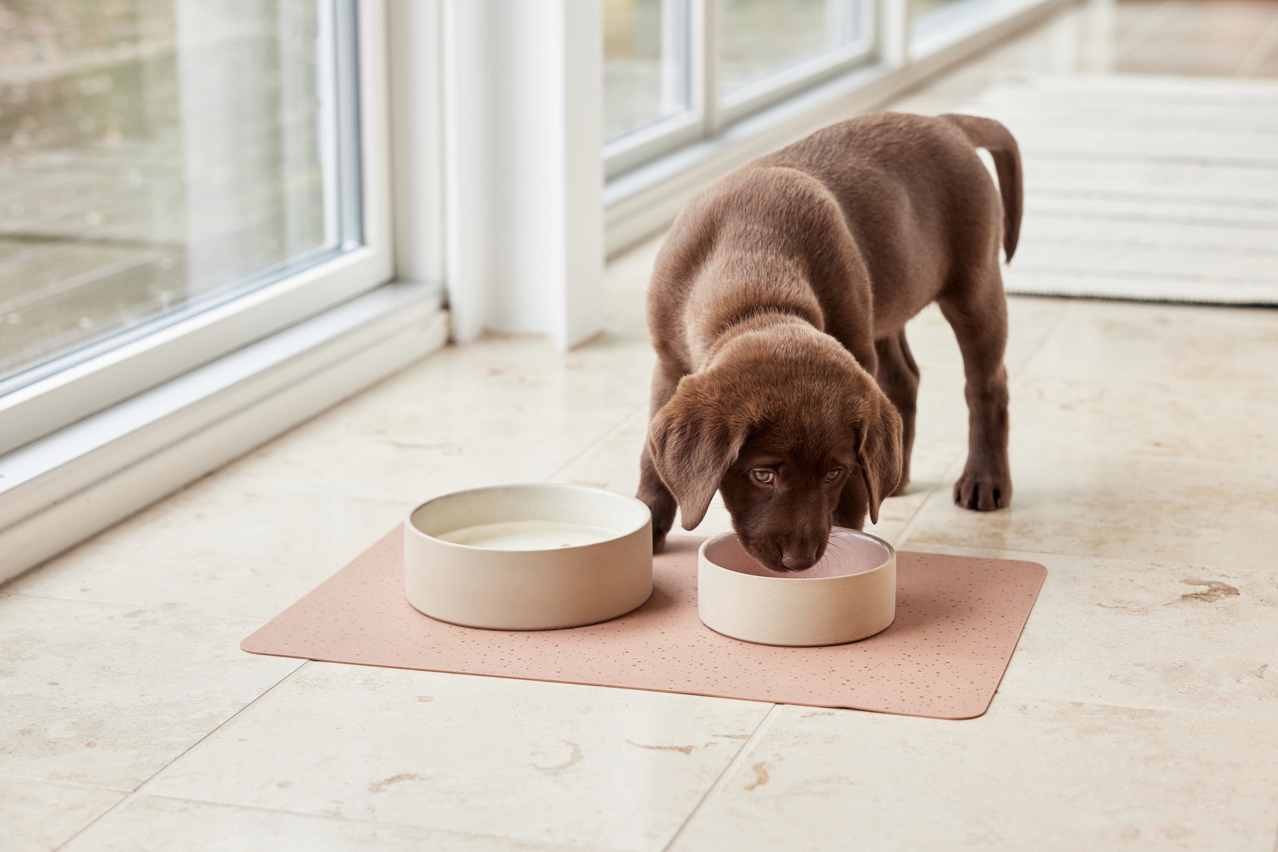 Sia Dog Bowl Medium 8