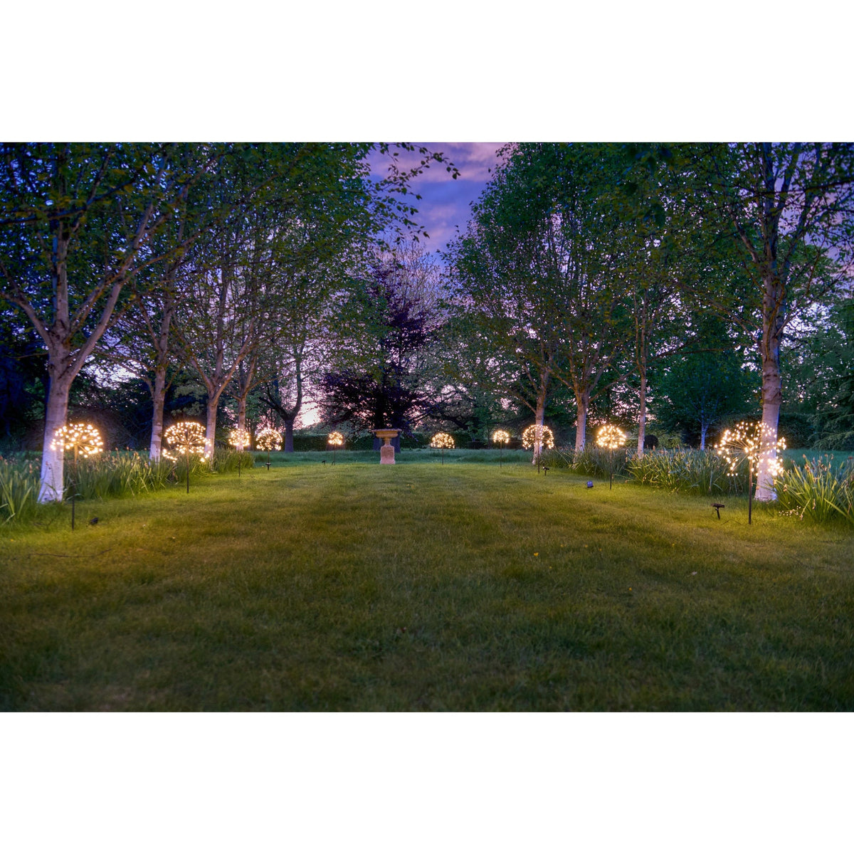 Solar Dandelion Light | Dandelion Garden Lights | Lumina Of London