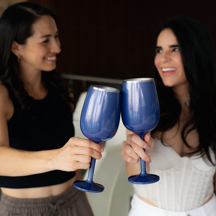 Stainless Steel Wine Chiller and Wine Glass Gift Set - Steel and Blue