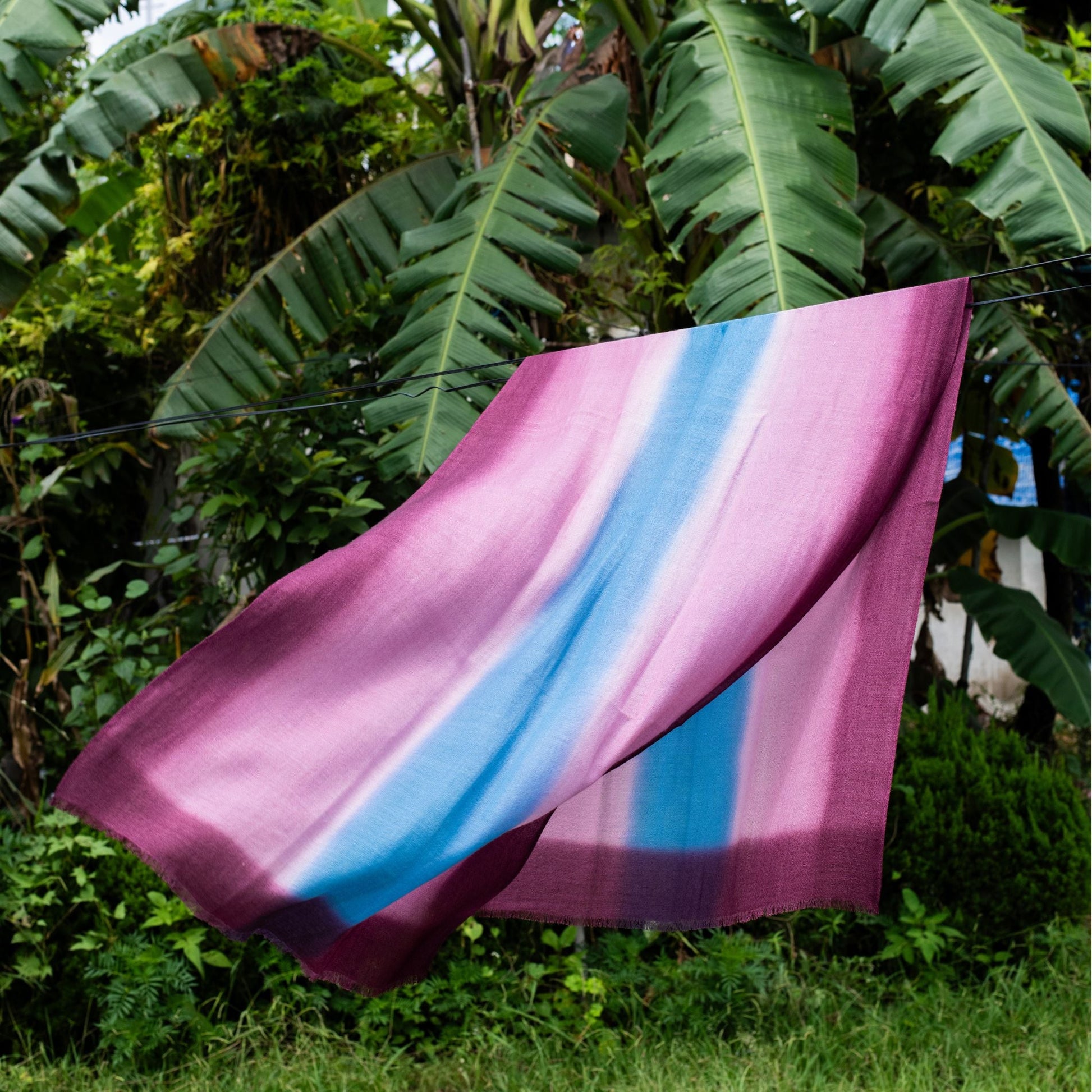 Iris Haze Blue Pink Cashmere Merino Handloom Scarf hanging outdoors with vibrant colors of blue and pink.