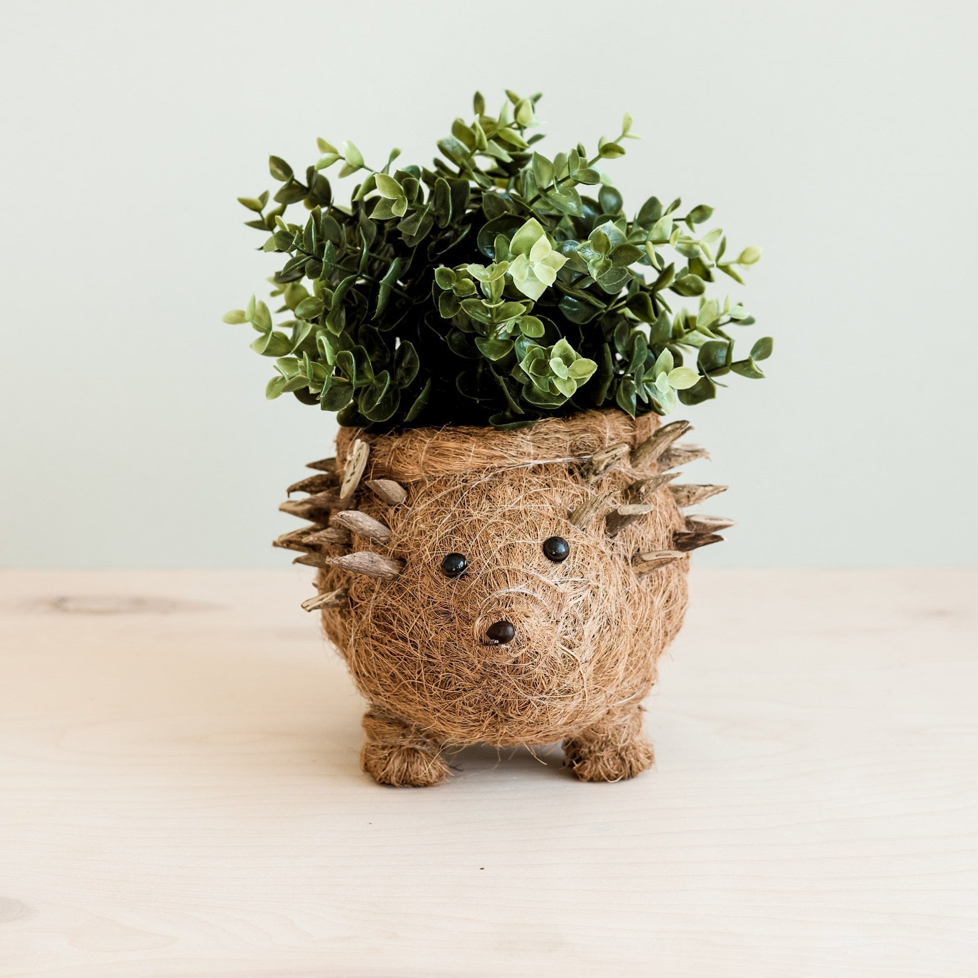 Planters - Hedgehog Planter - Coco Planter| LIKHÂ - LIKHÂ