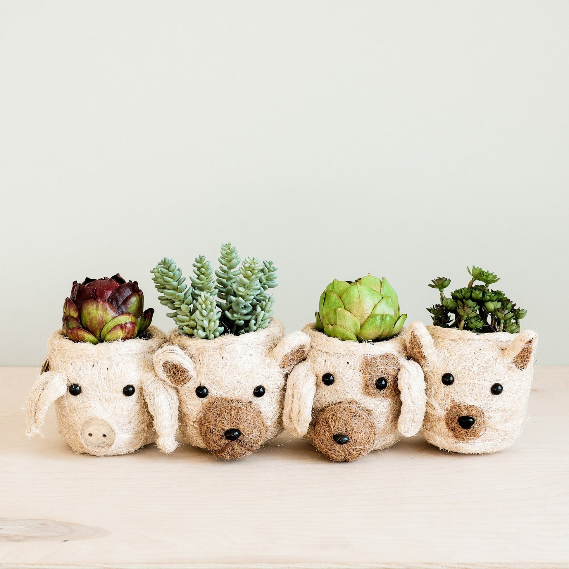 Planters - Cat Succulent Planter - Animal Head Planters | LIKHÂ - LIKHÂ