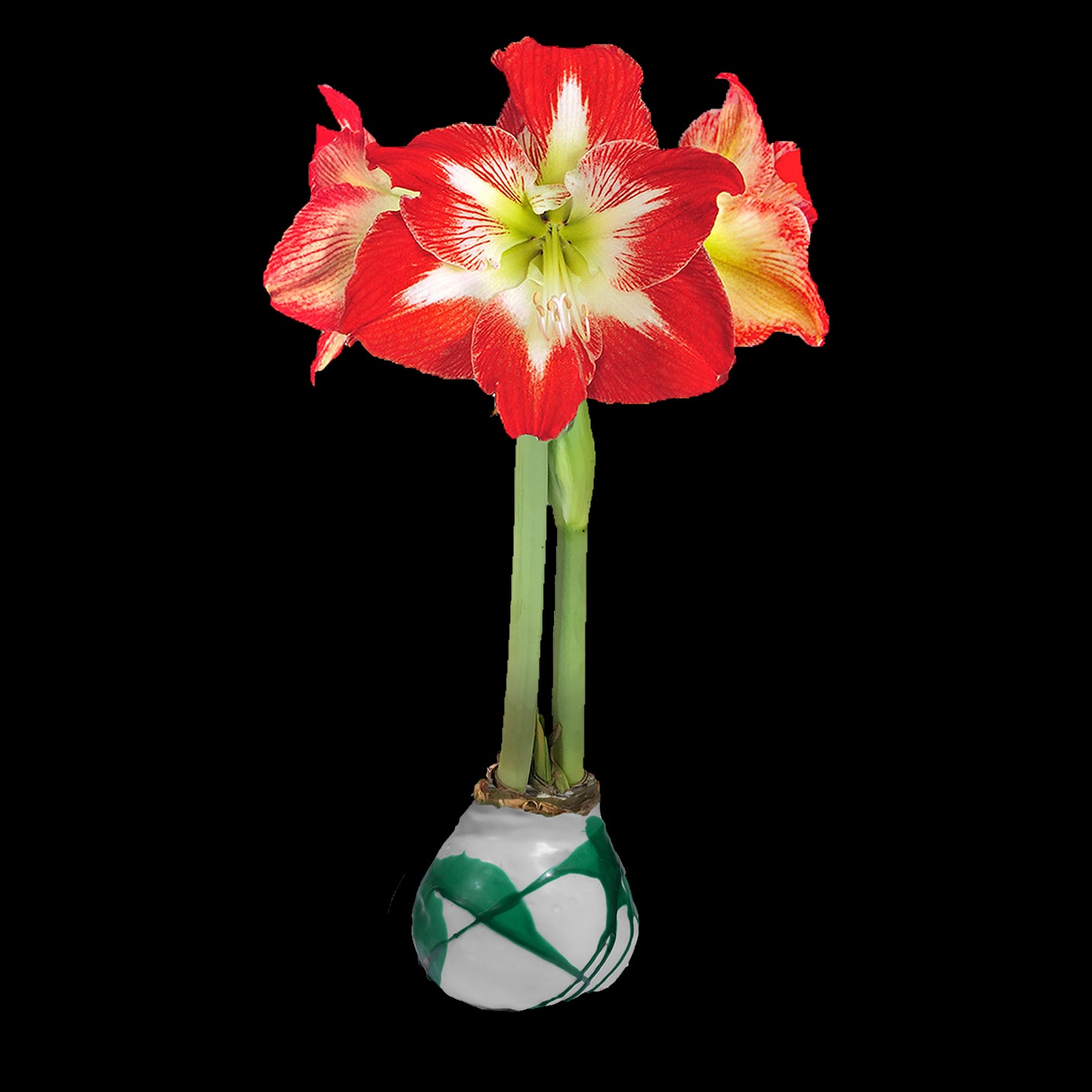 Minerva Flower White Wax Green Splatter Base 36+ 18 Bulbs