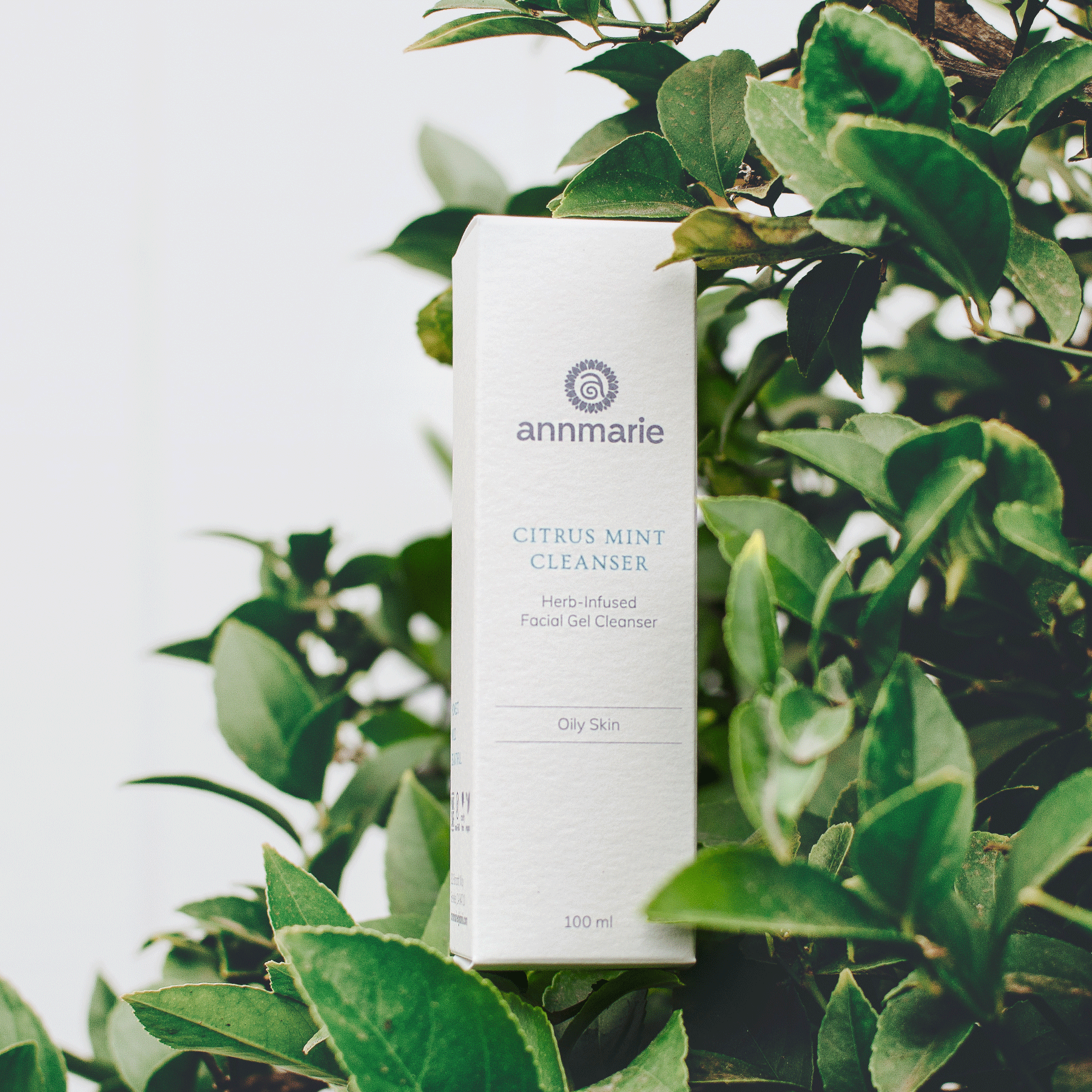 annmarie Citrus Mint Cleanser box with green leaves in the background