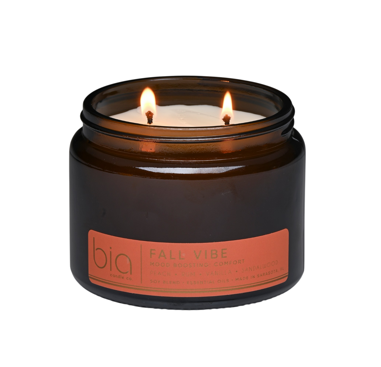 Fall Vibe Functional Fragrance Soy Blend Candle — Spiced Fruit, Cedarwood & Vanilla