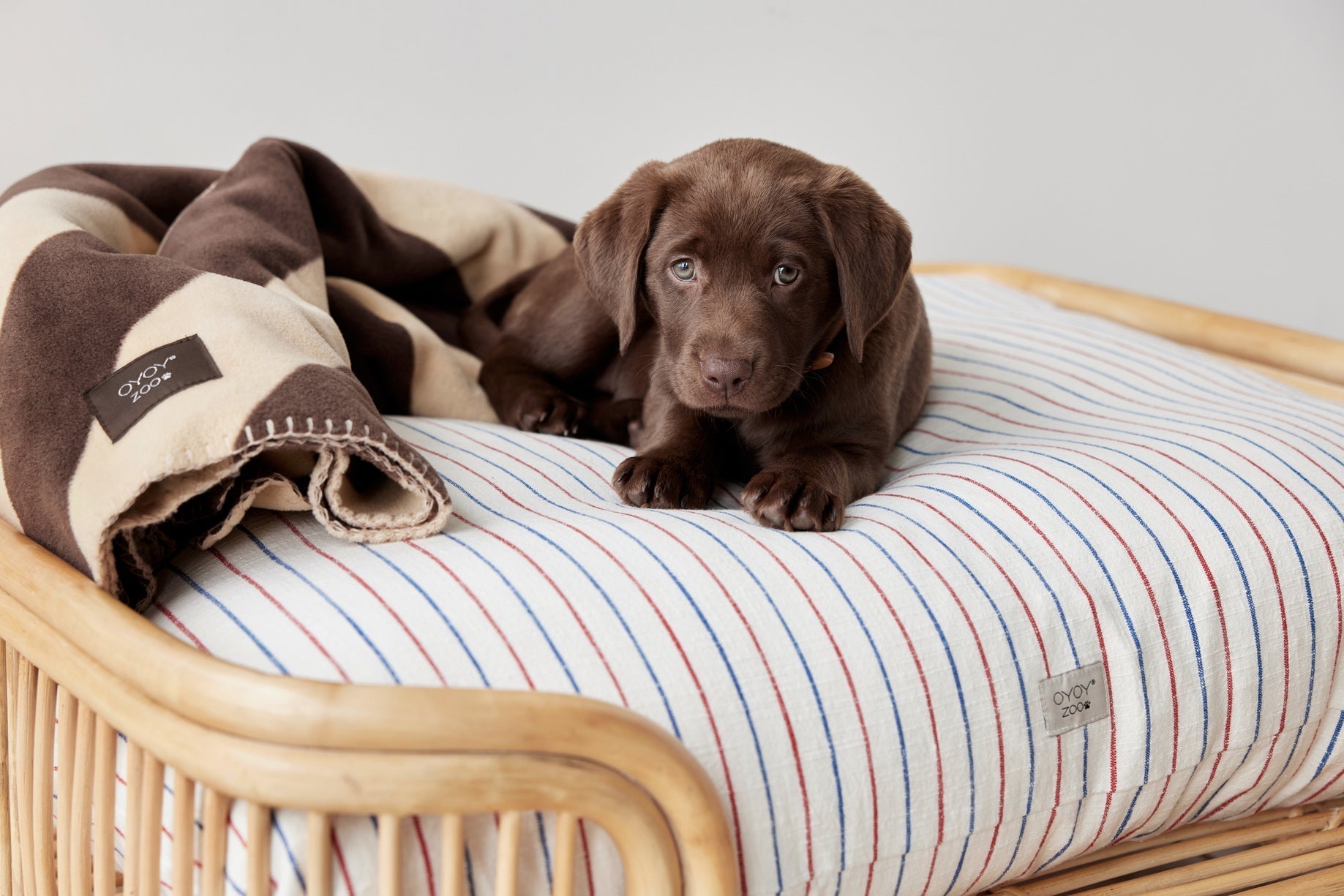 Kaya Dog Blanket Large 4