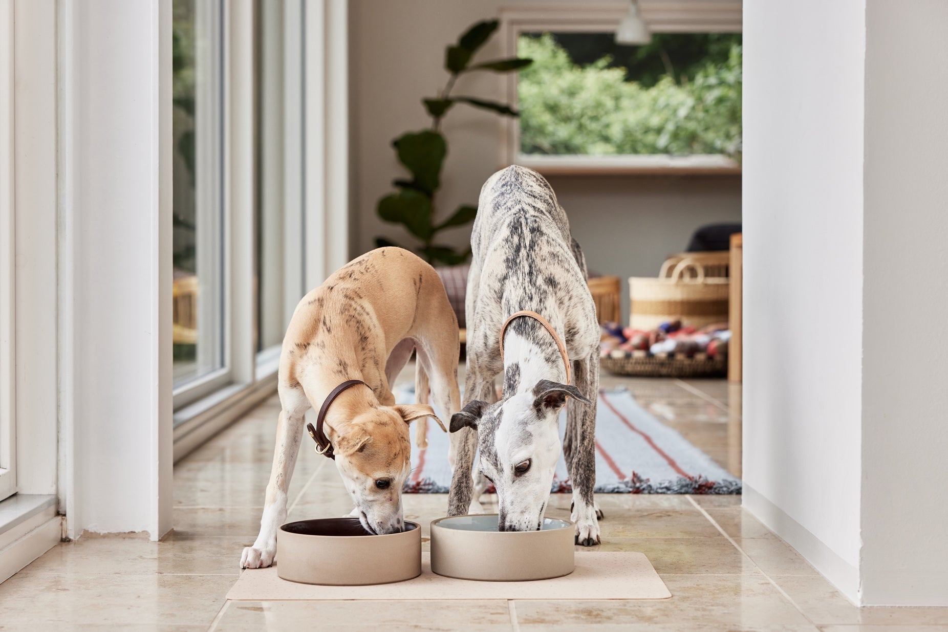 Sia Dog Bowl Large 11