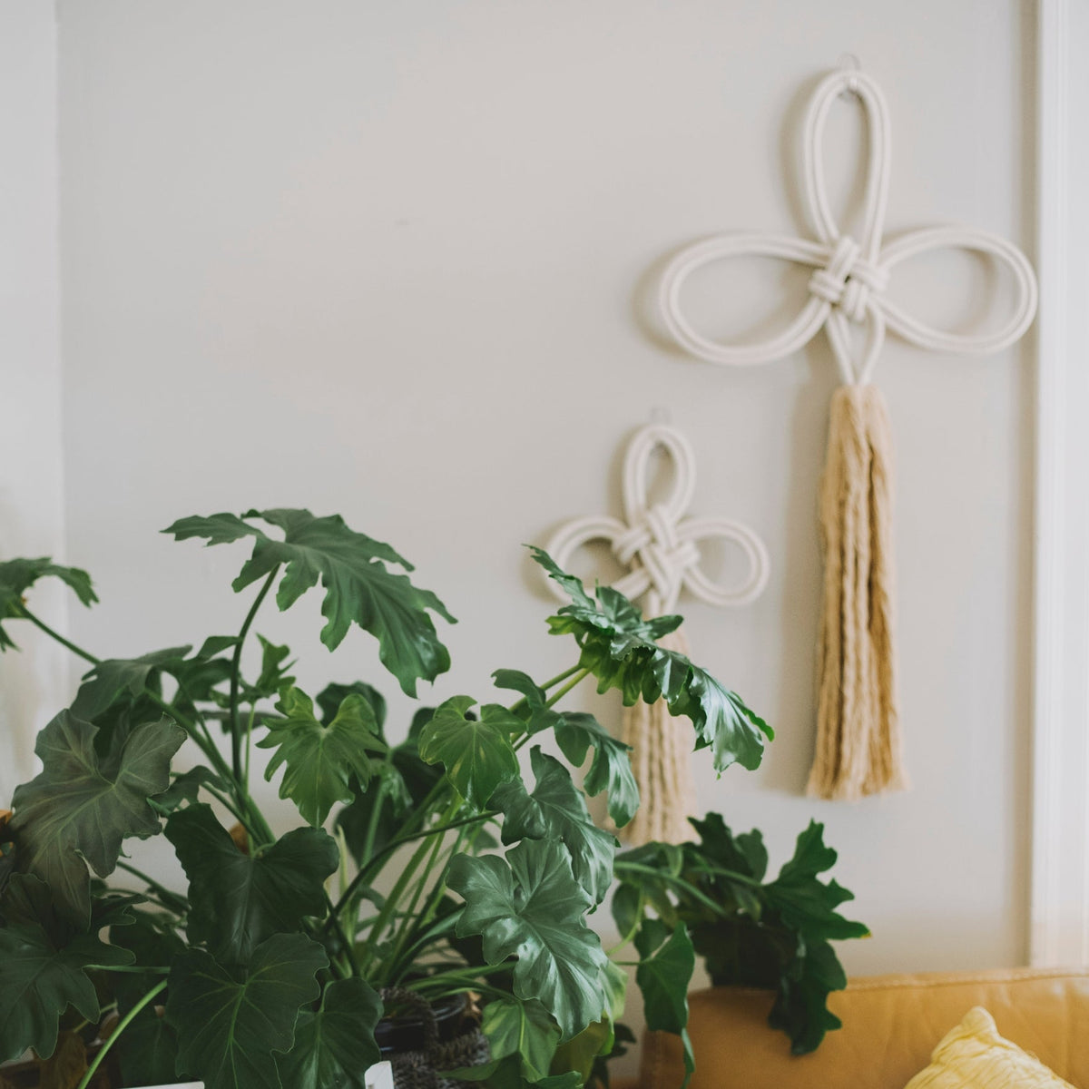 Solidarity large cream rope wall hanging with tassel beside a smaller one and plants