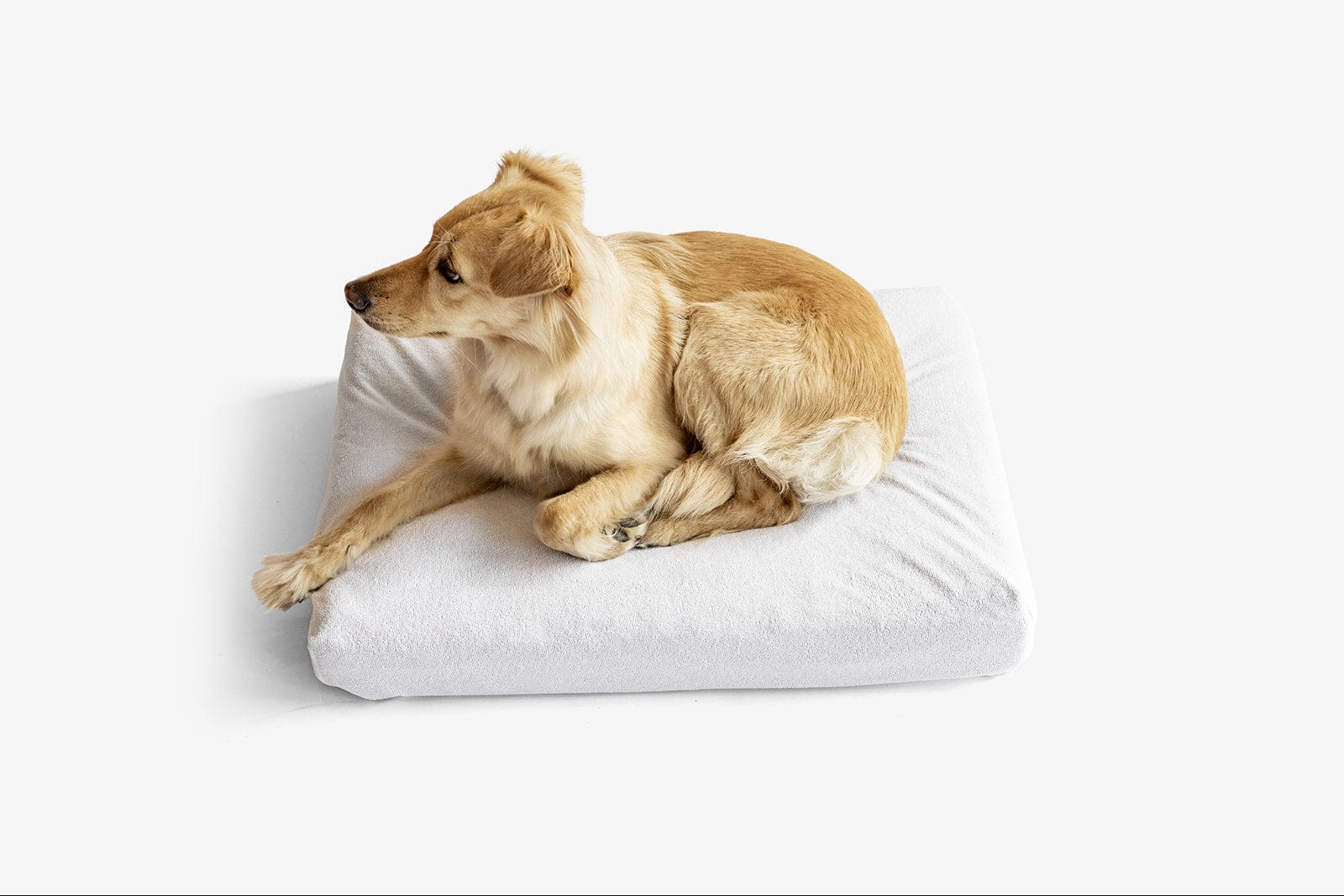 LAY LO™ Pets Animals & Pet Supplies LAY LO Pets - Premium Waterproof Dog Bed Liner & Stuff Sack Lay Lo Pets, waterproof dog bed