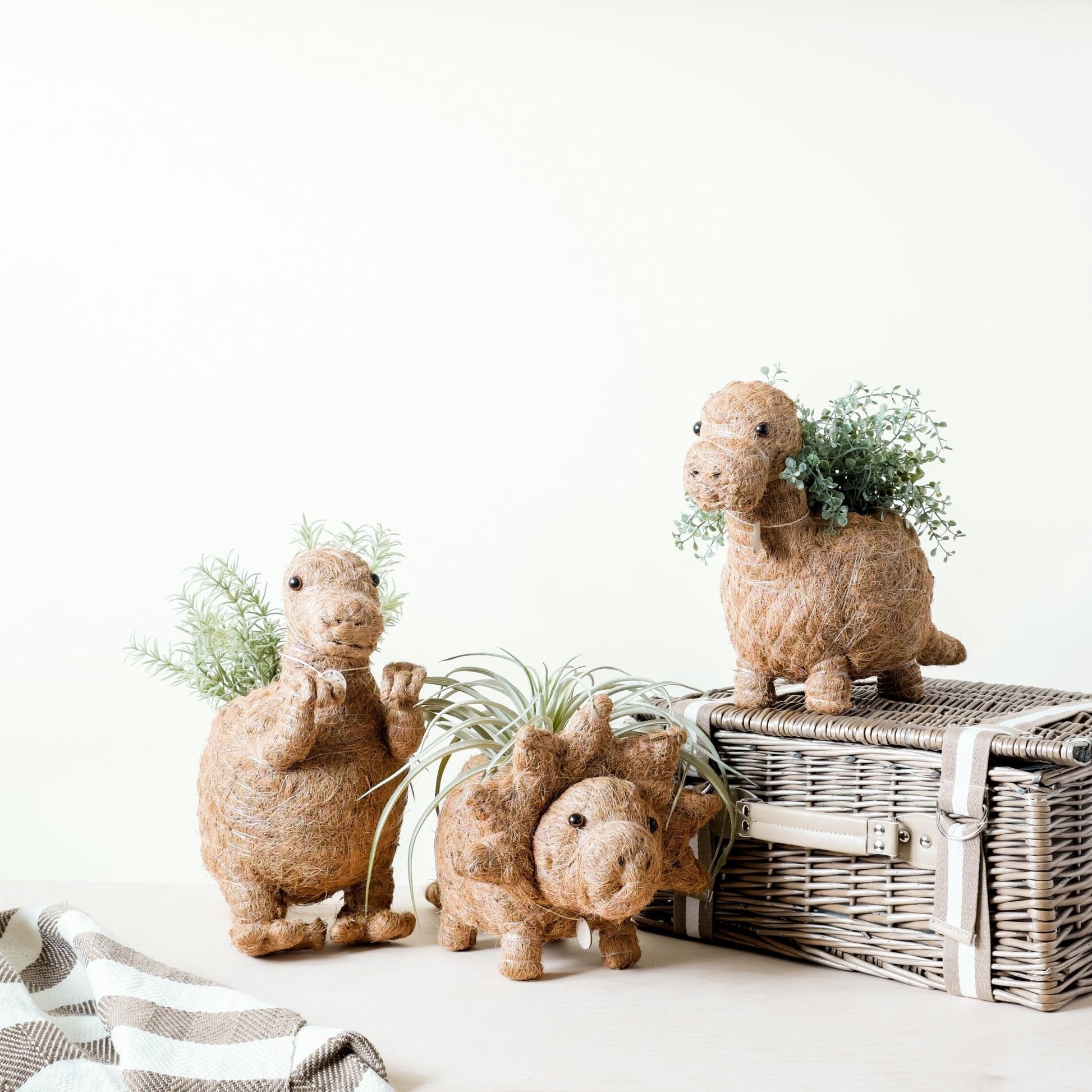 Planters - Brontosaurus Planter - Coco Coir Pots | LIKHÂ - LIKHÂ