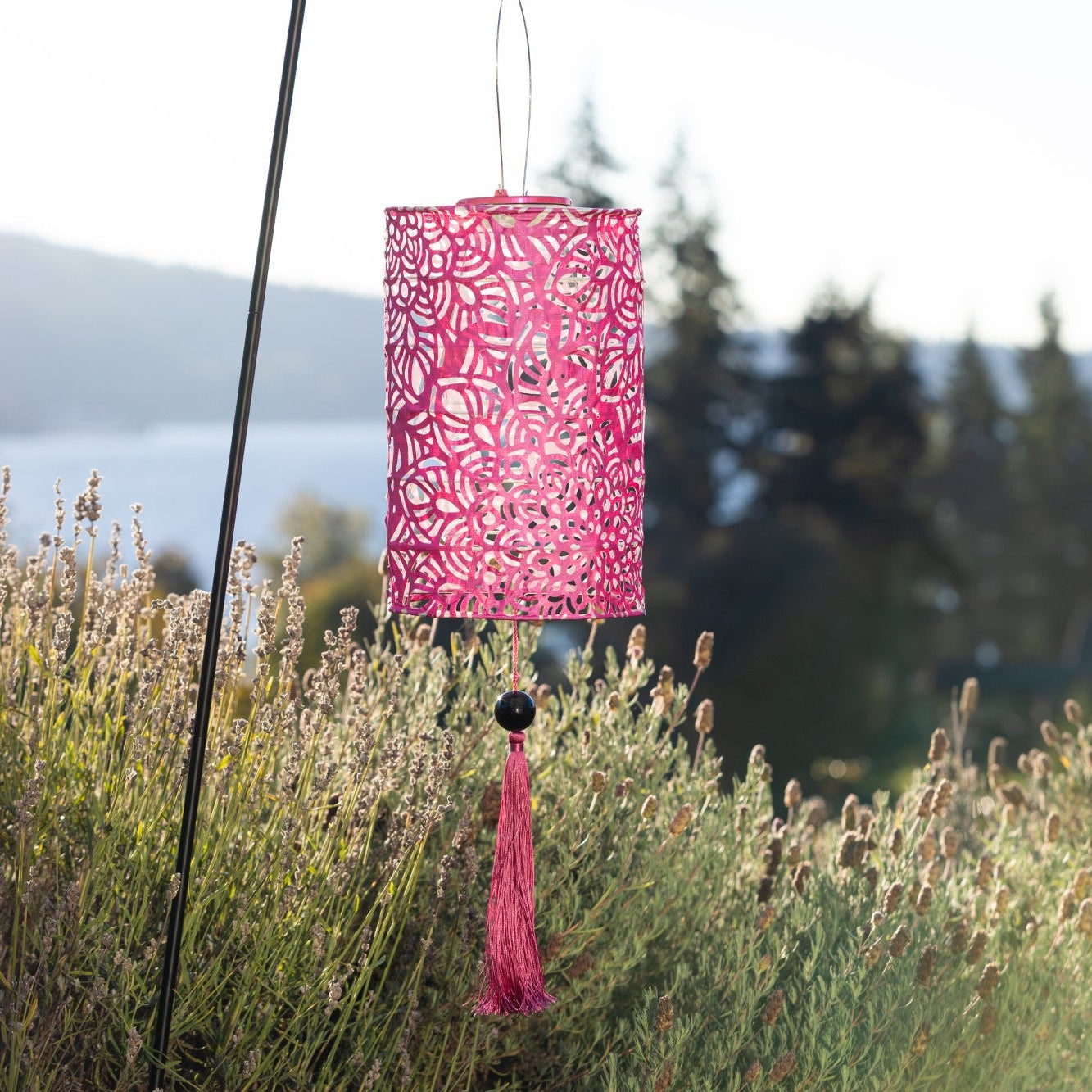 Pink decorative lantern with tassel hanging in a field of tall grasses.