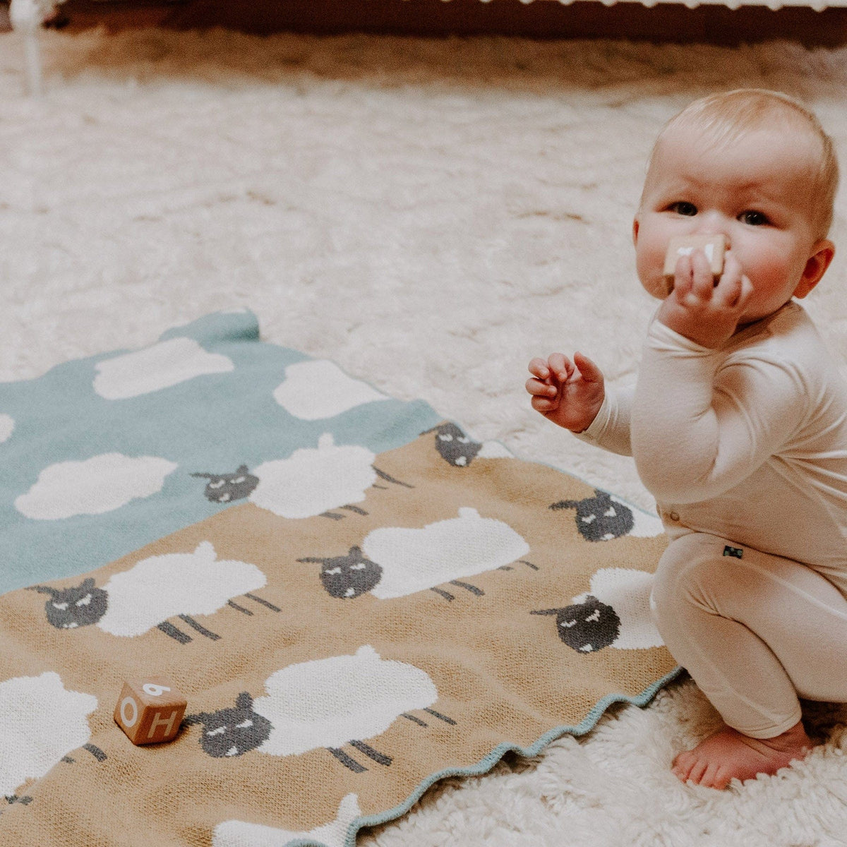 in2green Eco Baby Throws Baby Cotton Knit Blanket - Sheep 655646729695 BB02BS2