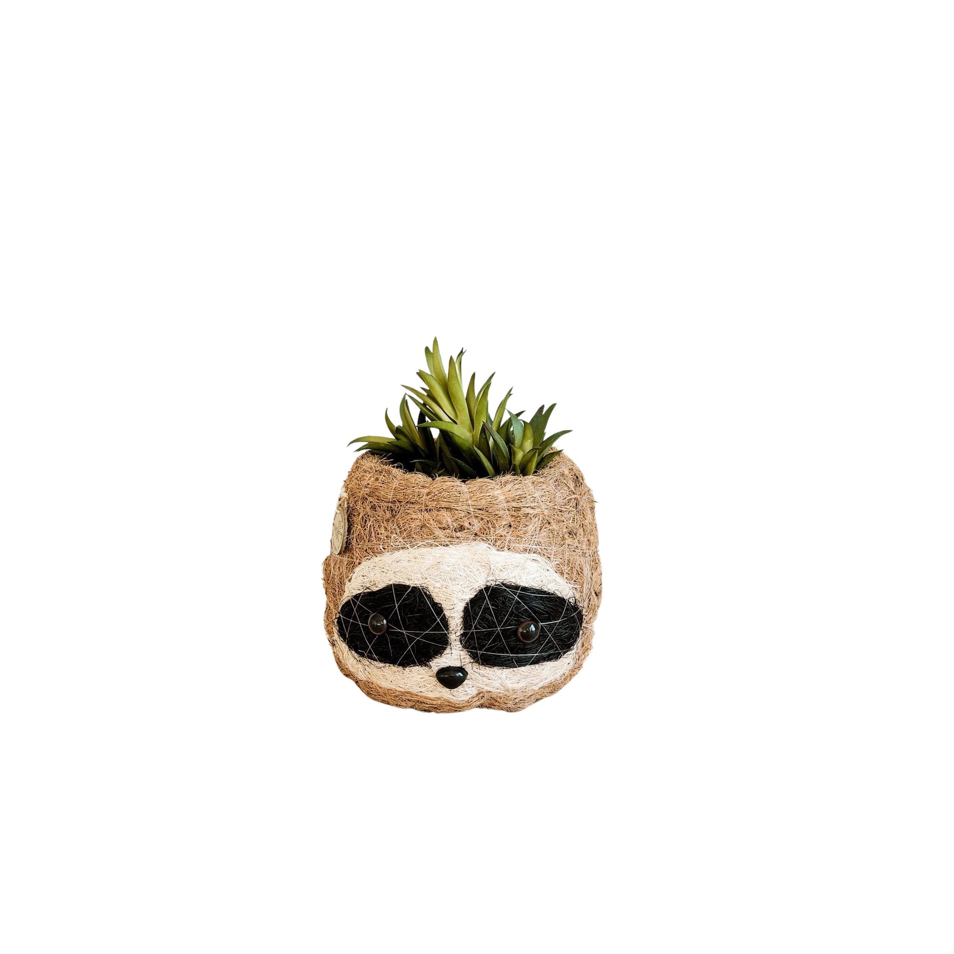 Planters - Three-tone Sloth Coco Coir Planter - Handmade Planters | LIKHÂ - LIKHÂ