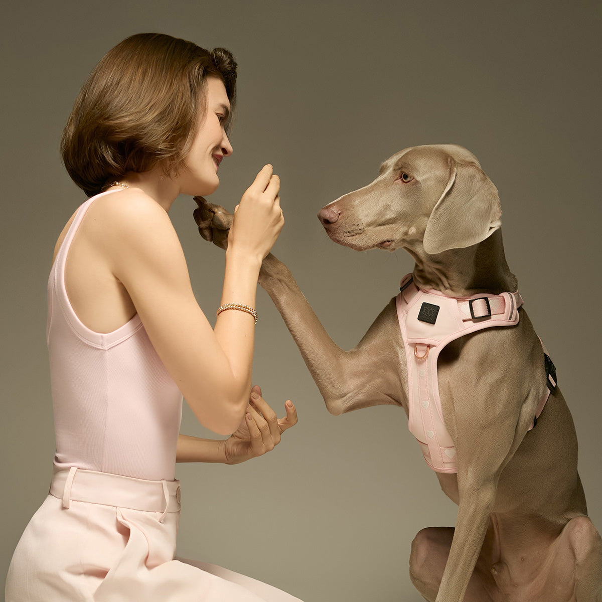 designer dog leashes and collars, designer dog collar and leash, pet accessories designer, fancy harness for dogs, luxury dog harness, fancy dog stuff, pet accessories designer, stylish dog leash