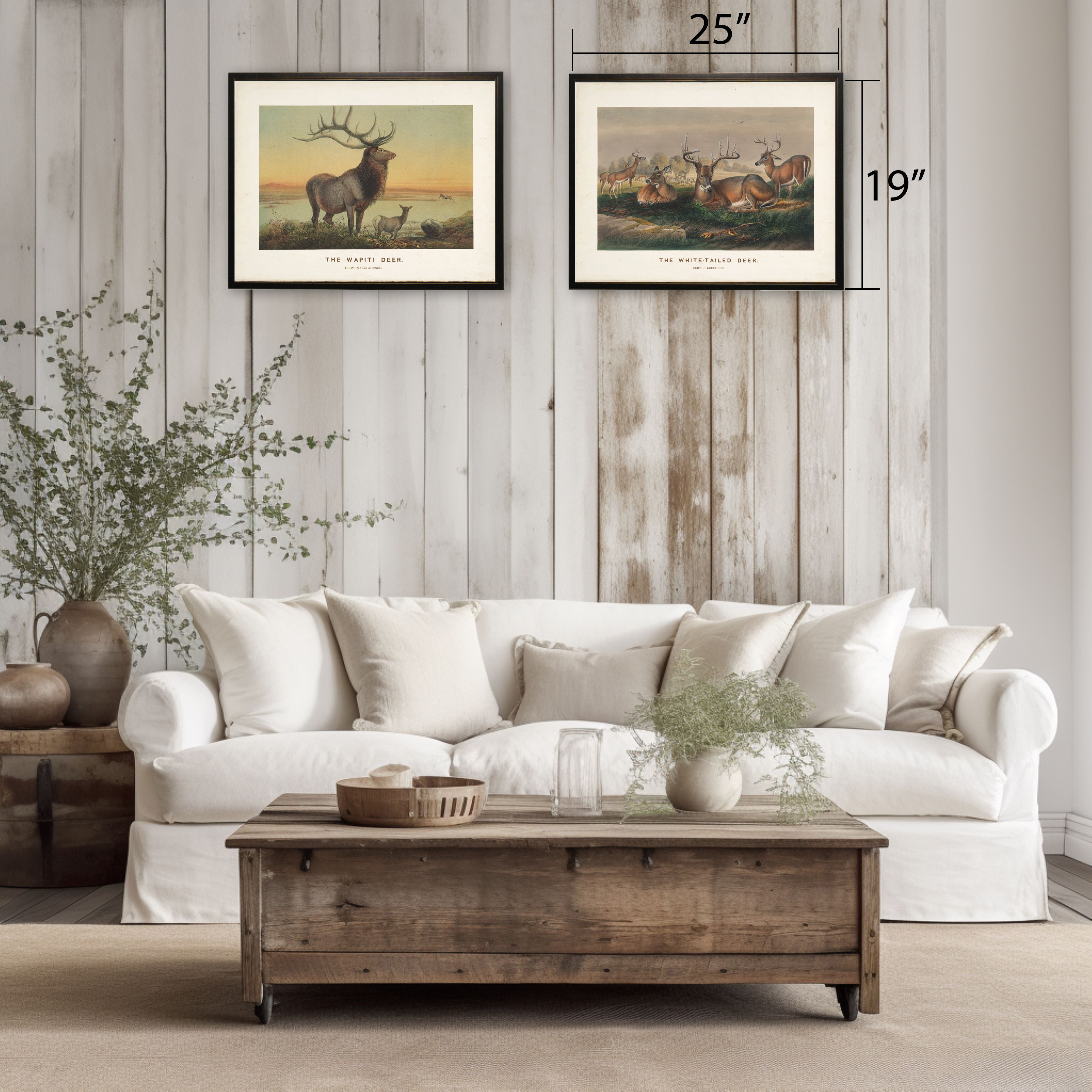 "The White-Tailed Deer" Scene in Copper and Black Frame
