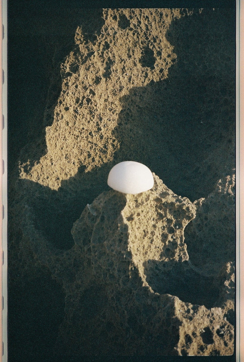 Clear Konjac Sponge - FORAH