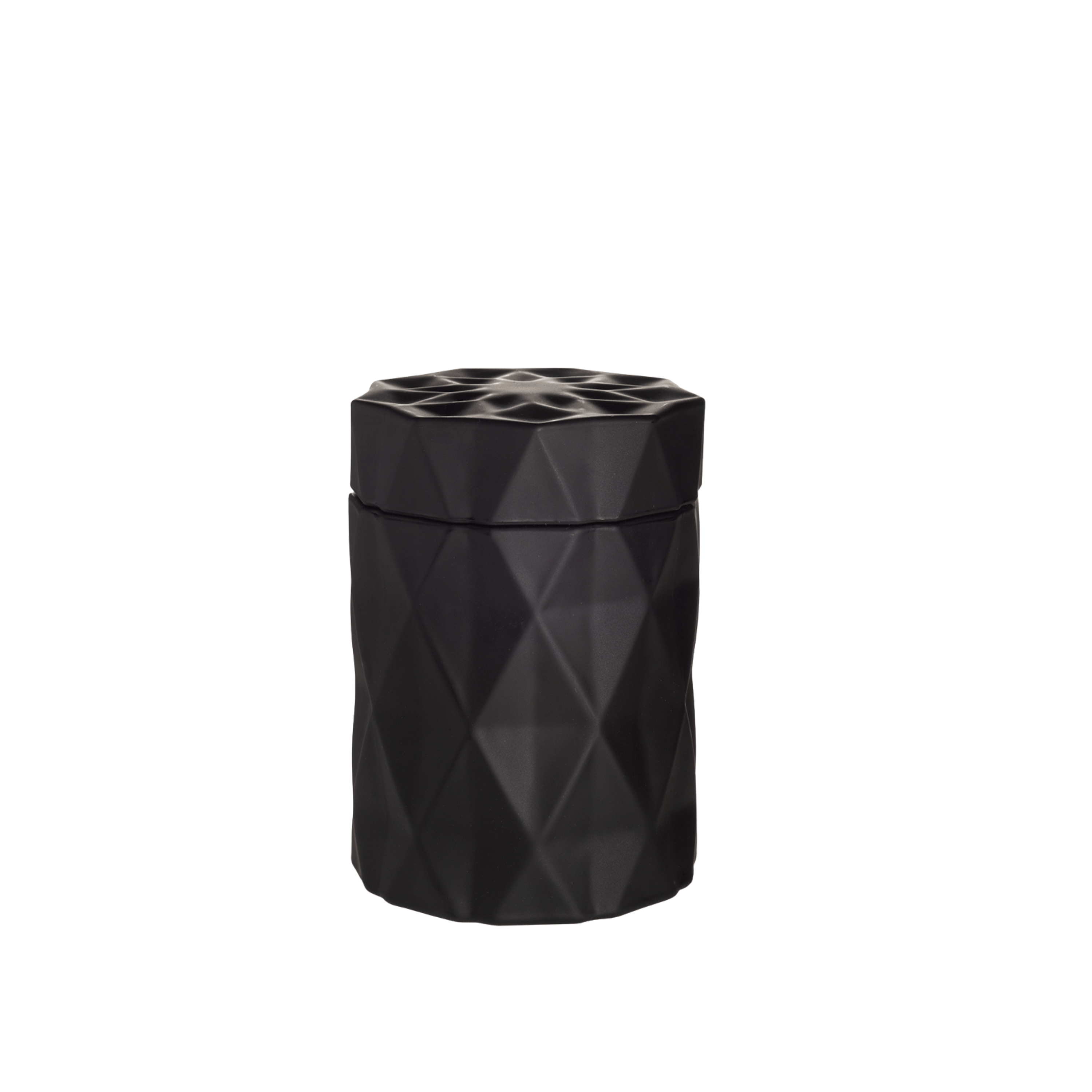 Black Currant Vetiver | 10.5 oz
