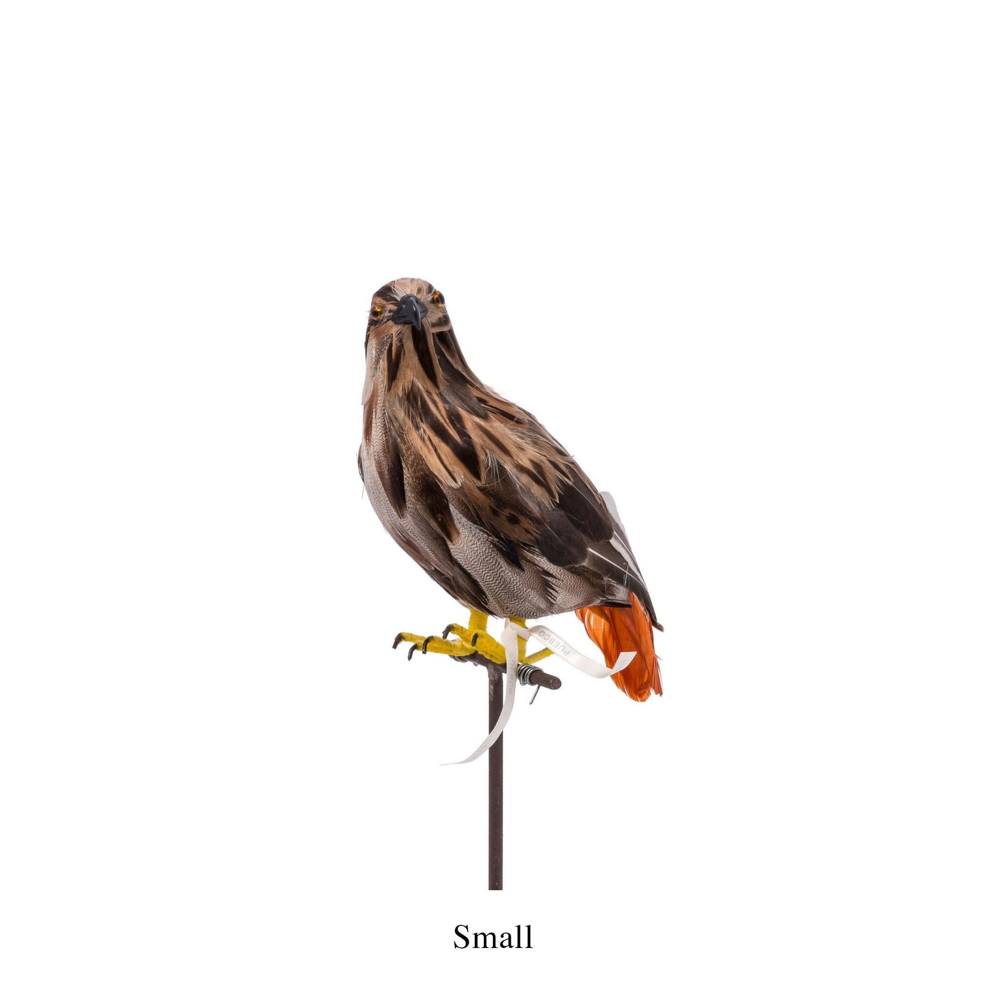 Artificial Birds Eagle 2